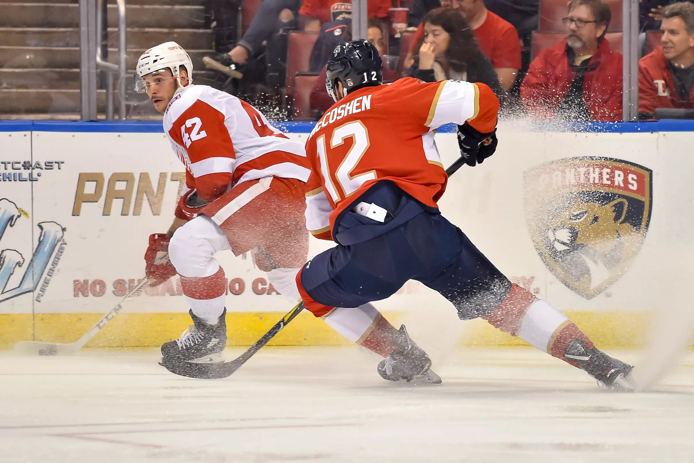 Red Wings vs. Panthers Game Day Updates
