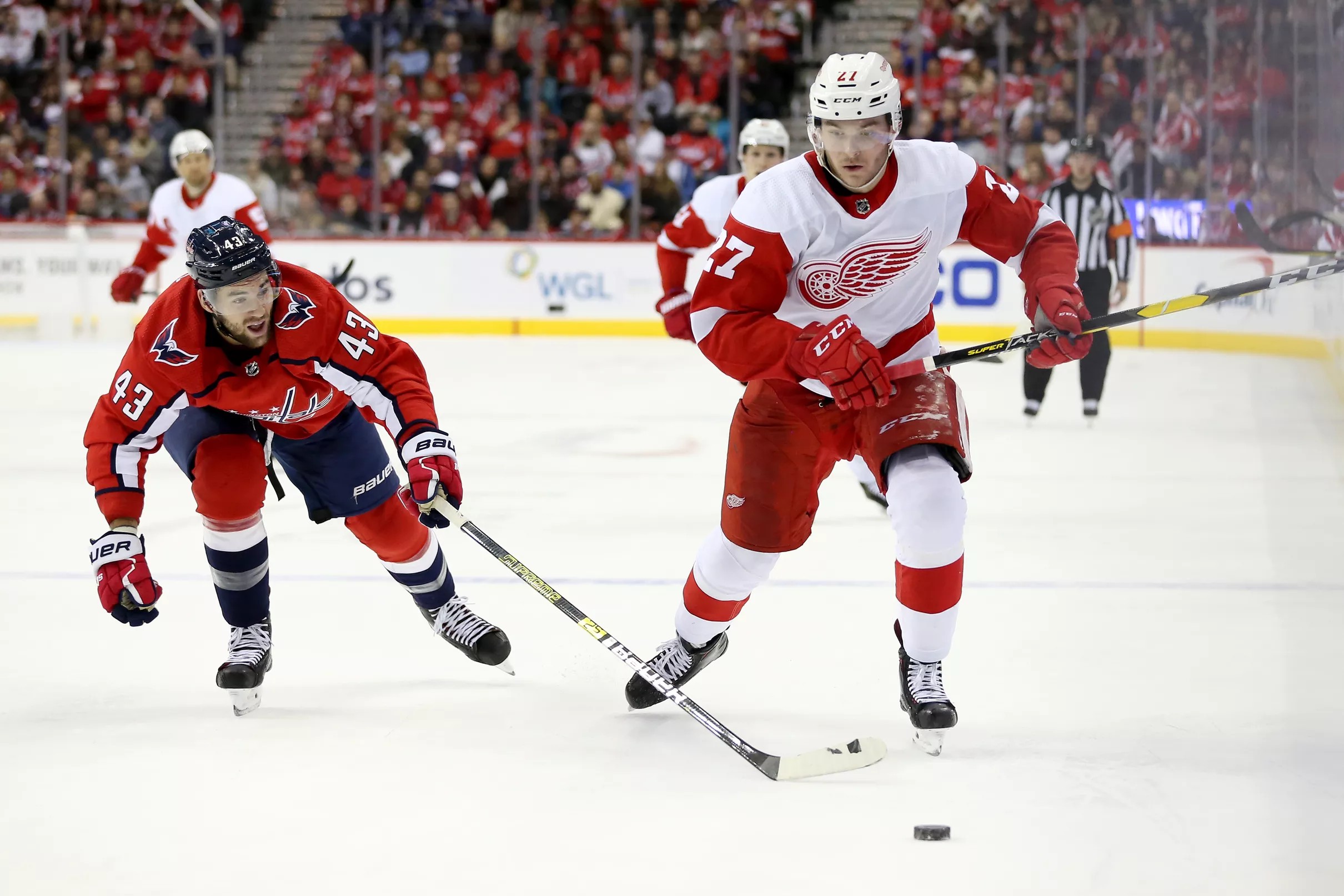 Red Wings Capitals — Updates, Projected Lines and Keys to the Game