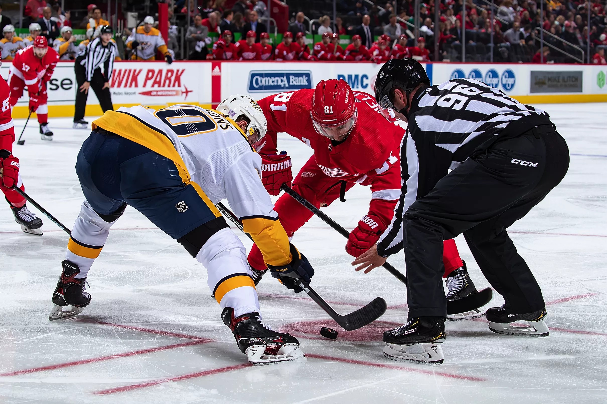 Morning Skate: Detroit Red Wings @ Nashville Predators- Preview, How To ...