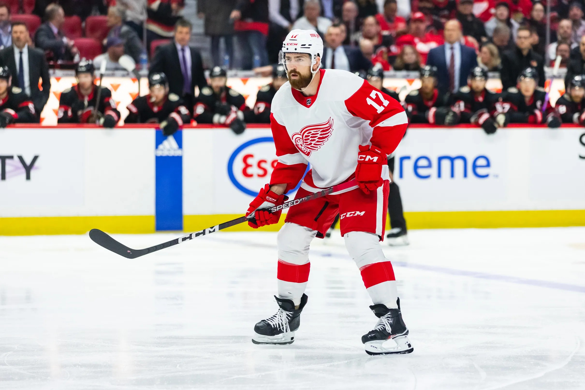 Red Wings trade Filip Hronek to Canucks for draft picks