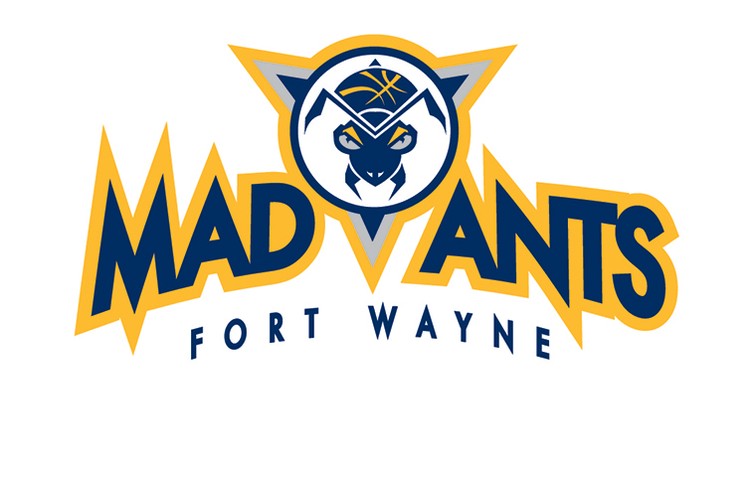 2018-19 Mad Ants Transactions