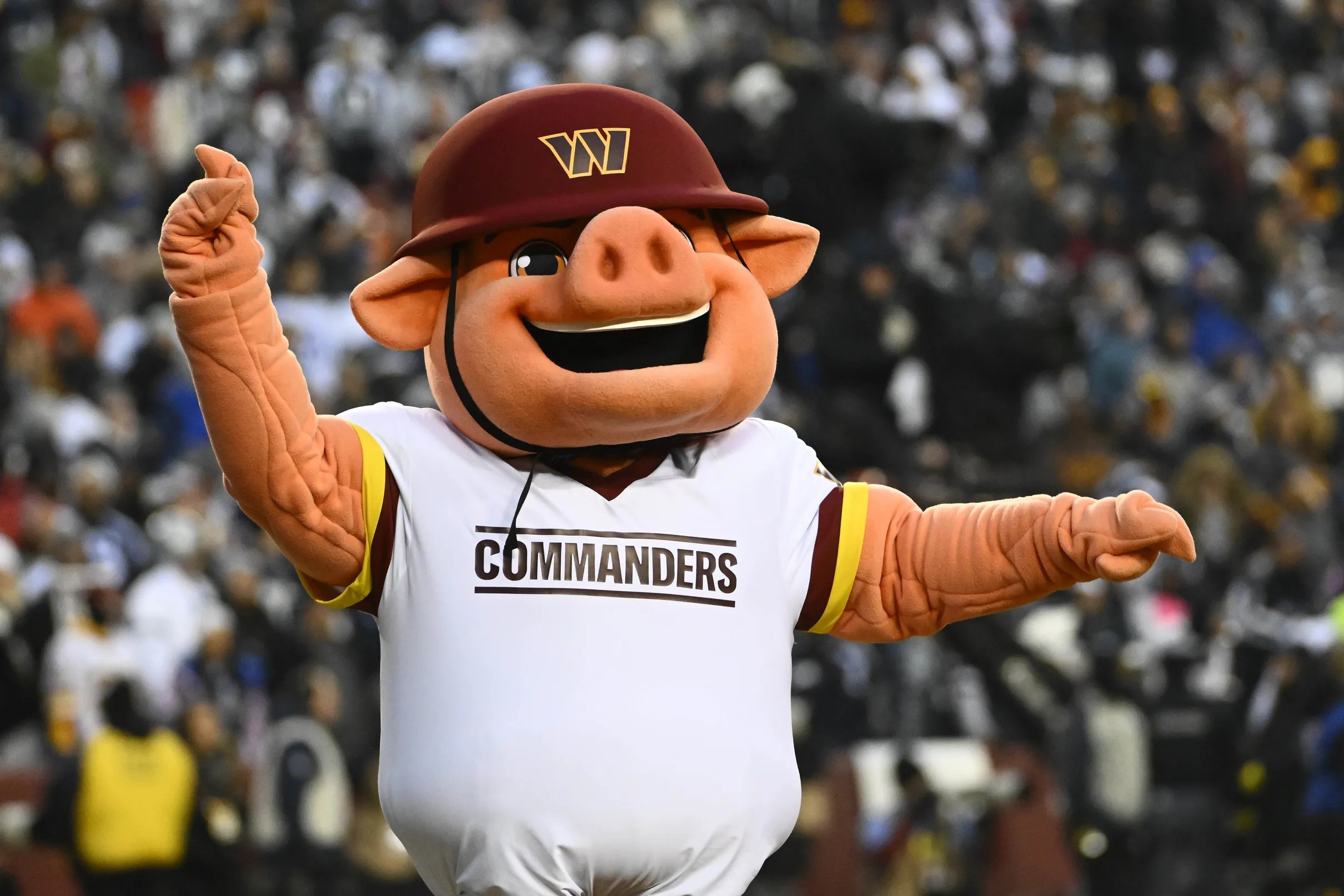 Poll: What should the Washington Commanders mascot be? - Hogs Haven