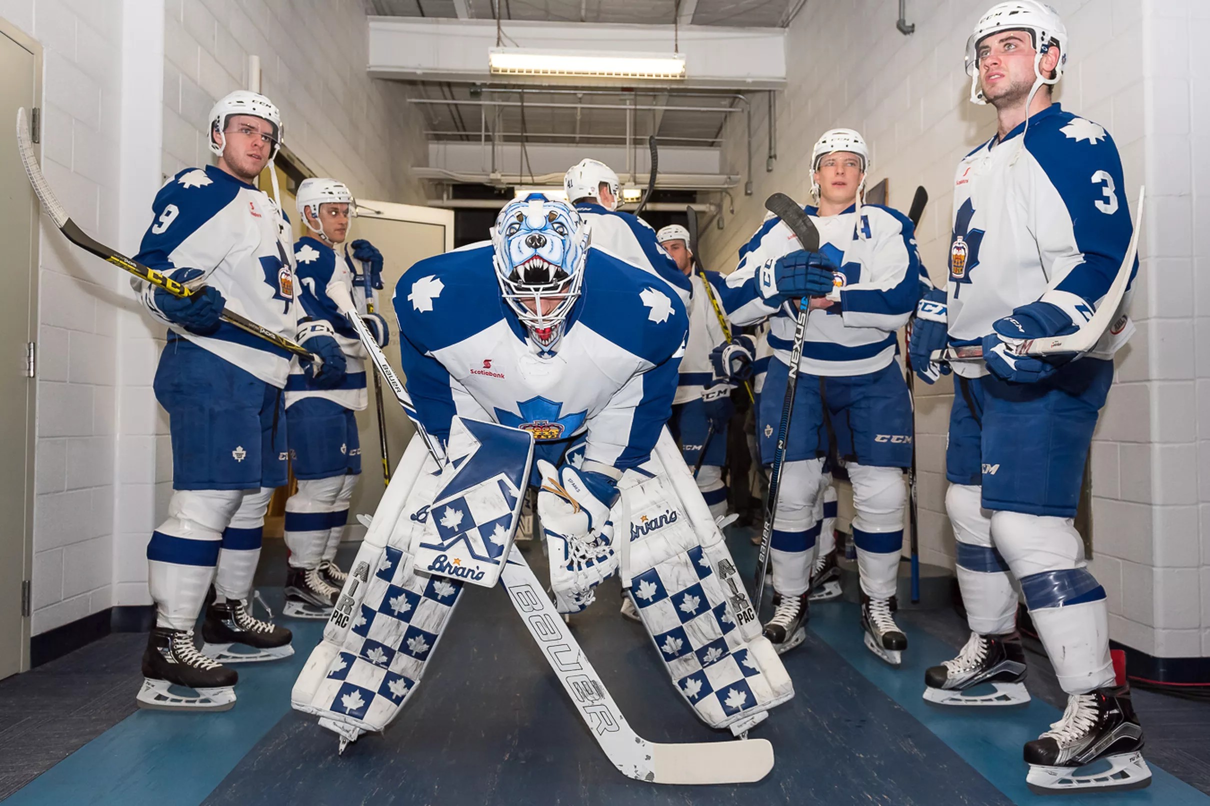 Toronto Marlies announce their official roster