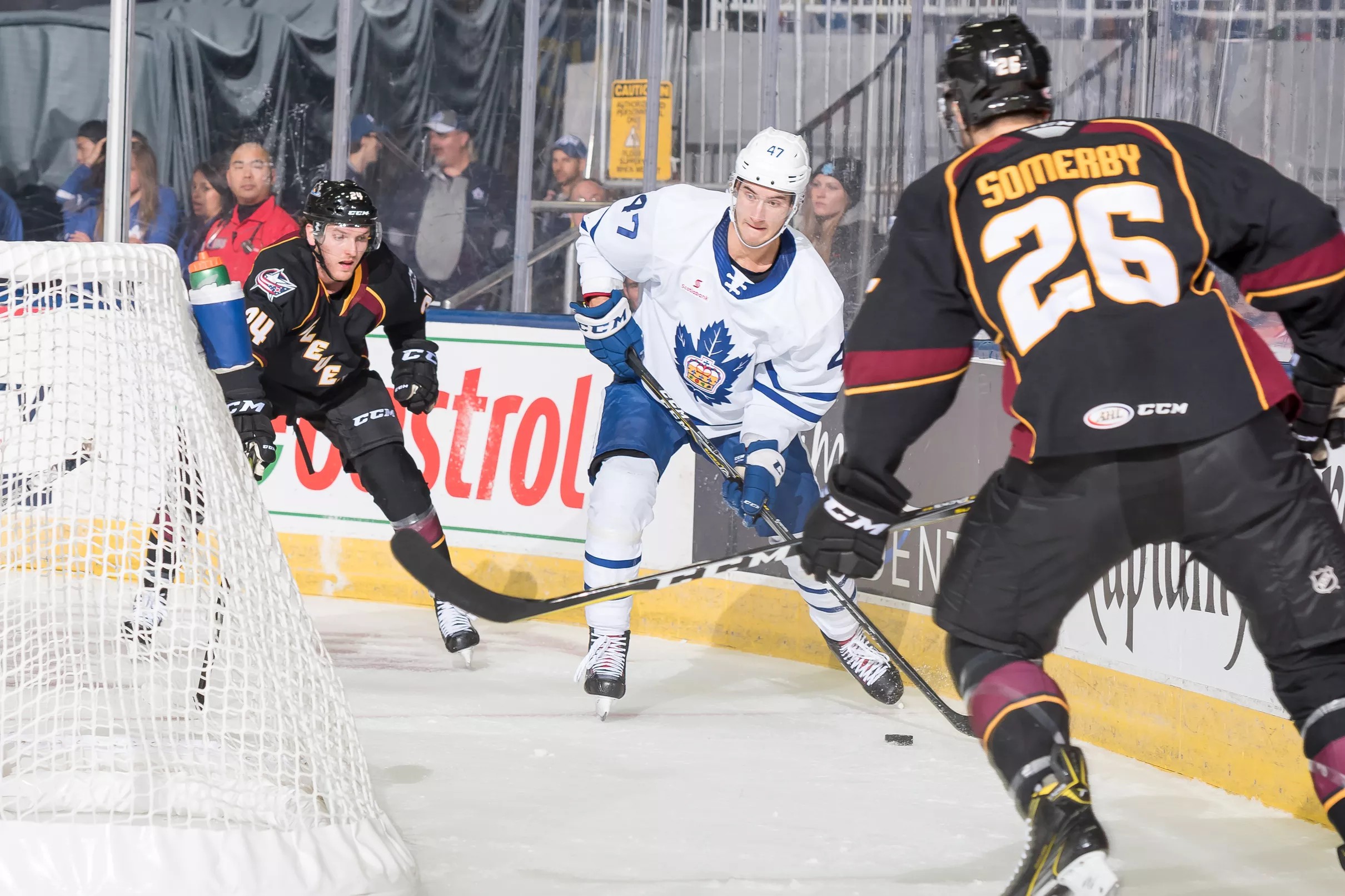 Toronto Marlies Recap The Toronto Marlies need practice