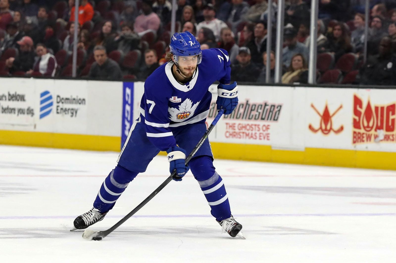 Toronto Maple Leafs: Timothy Liljegren On Tear With Marlies This Season