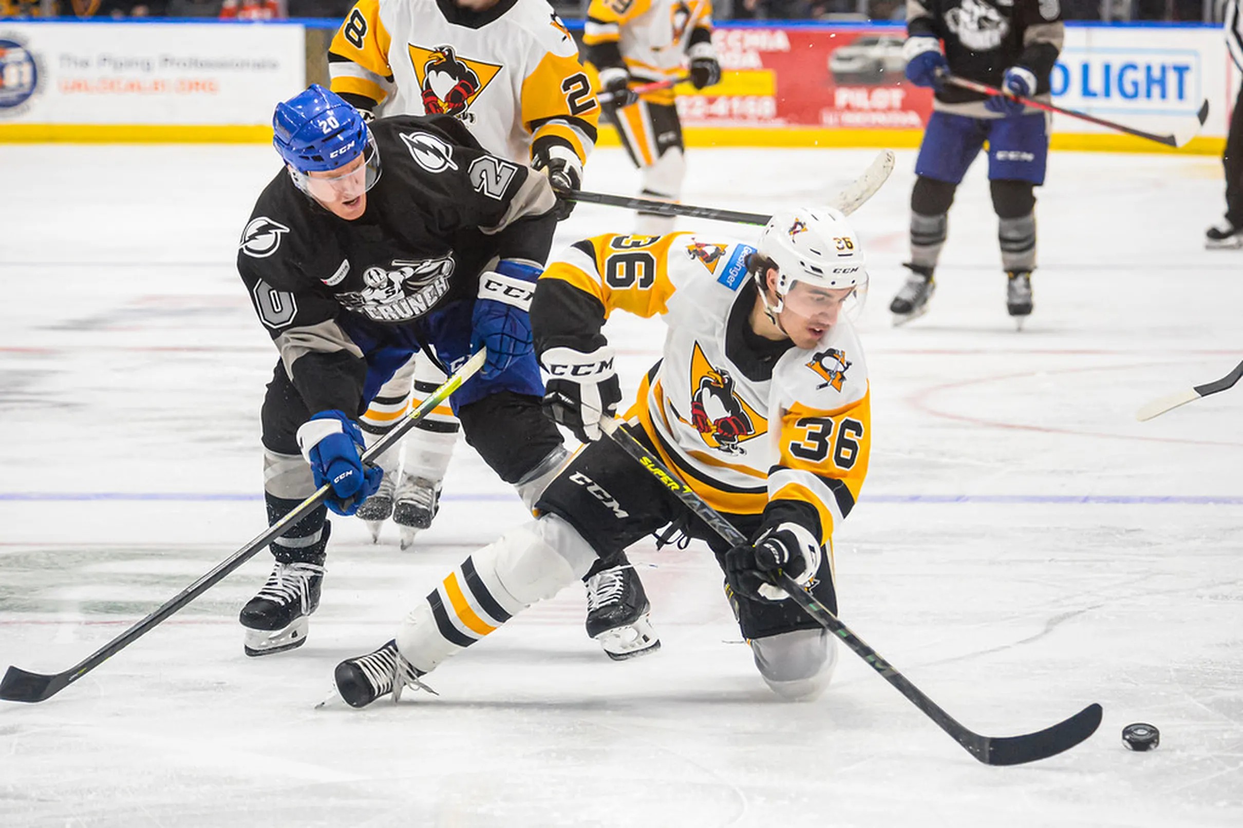 2022 NHL Free Agency Tampa Bay Lightning sign Felix Robert to twoyear