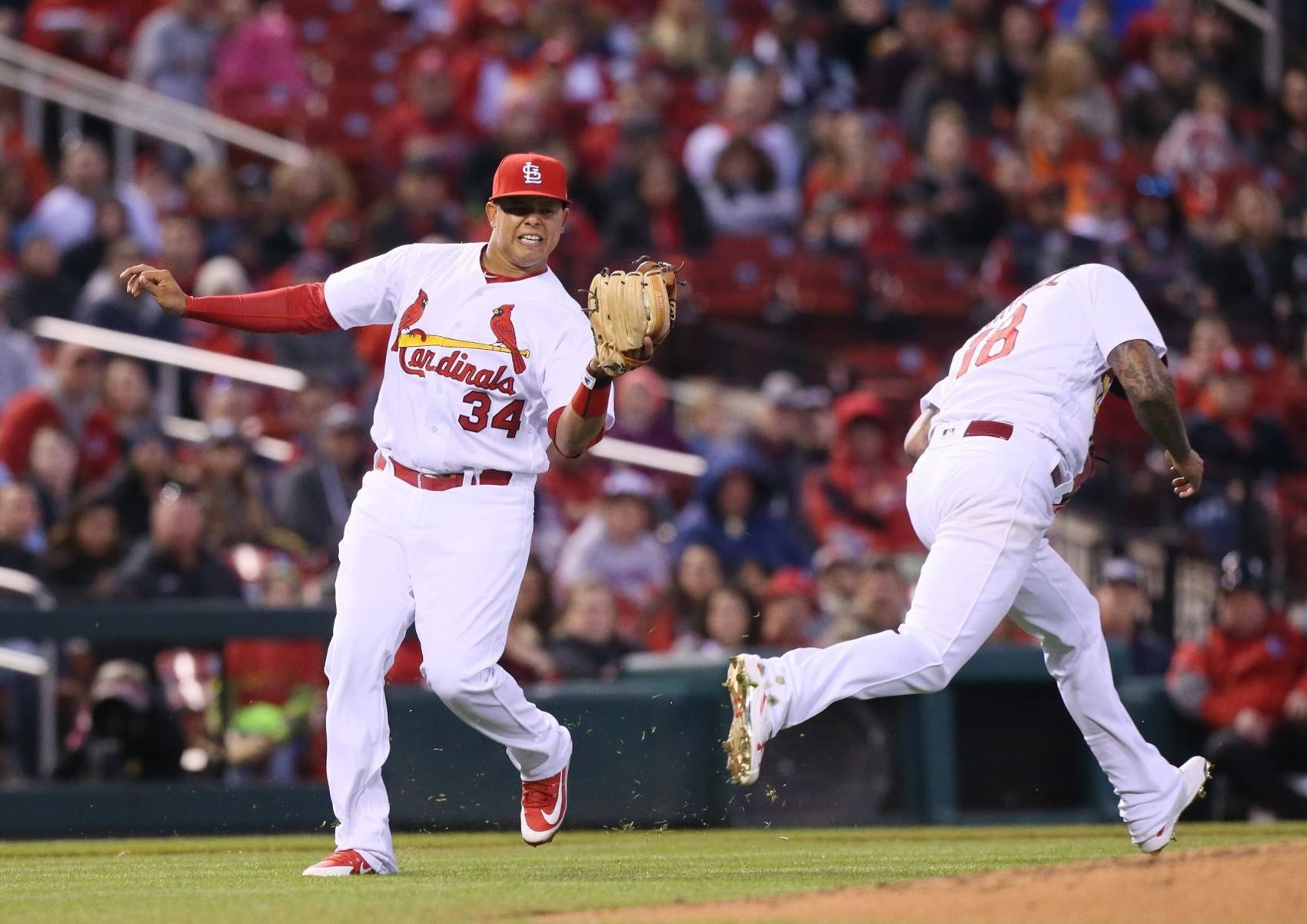 cardinals shortstop cardinals shortstop