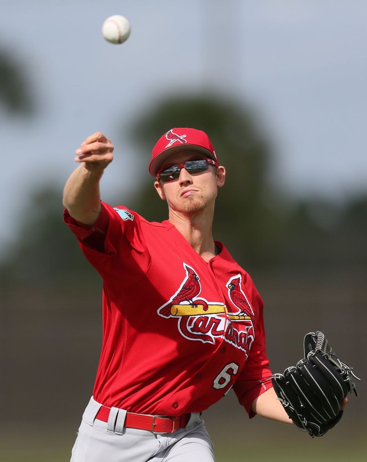 St Louis Cardinals Top Minor League Prospects Walden Wong