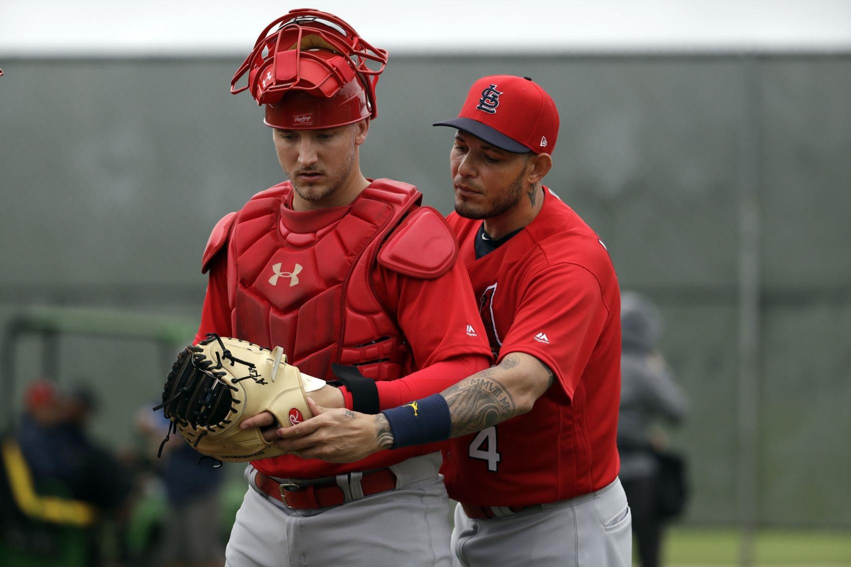 Knizner To Catch For Cardinals In Spring Opener