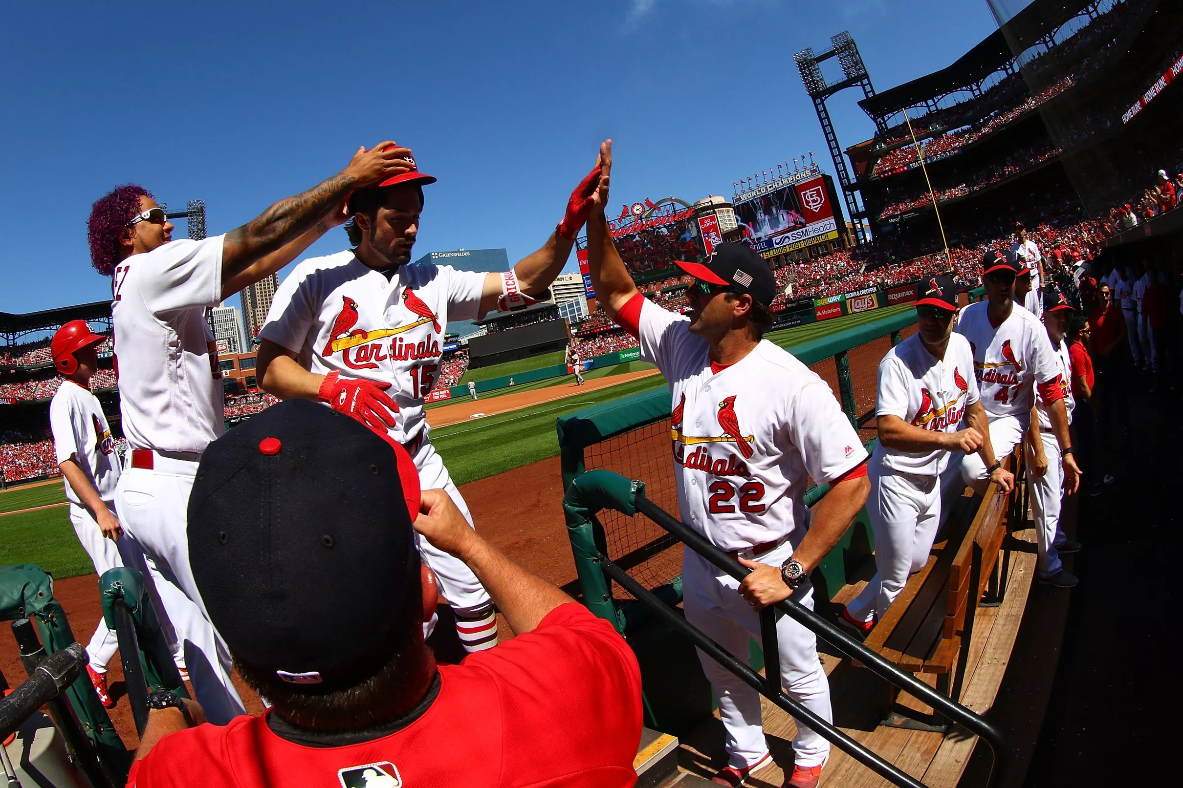 2018 Viva El Birdos Top Prospects List, Part Two: #30-21