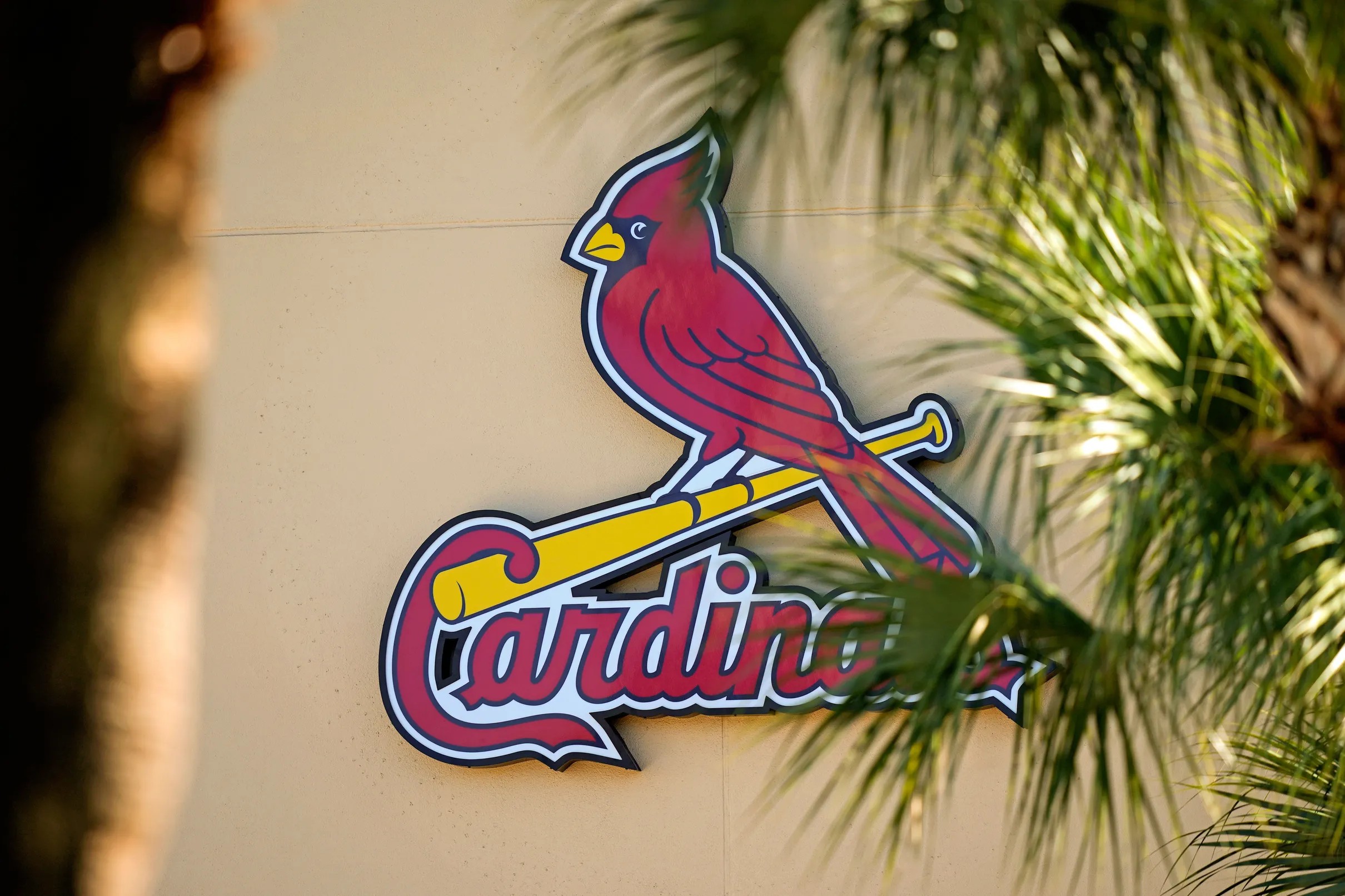 A History and Ranking of the Cardinals Logo