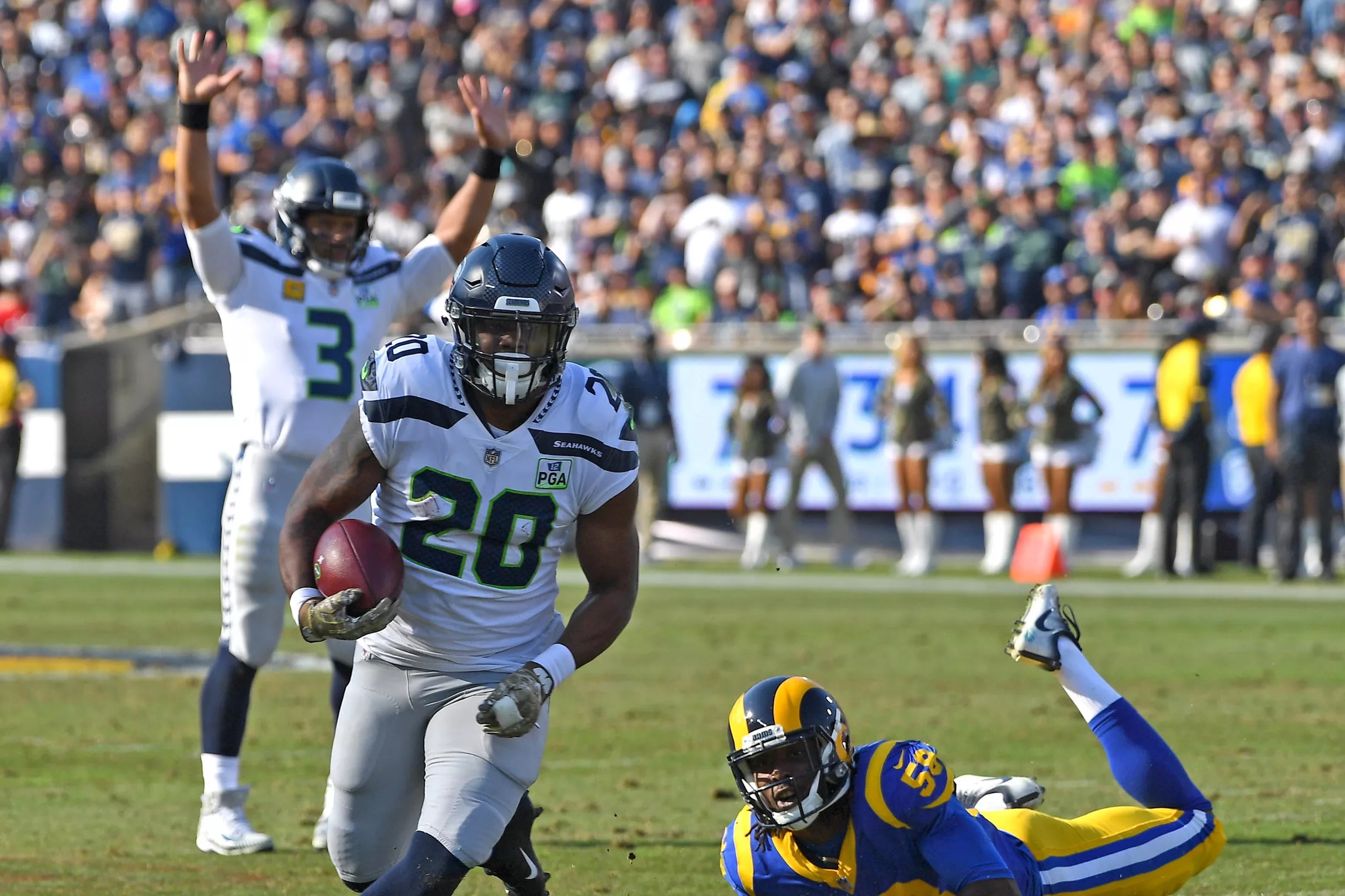 Help us launch the Field Gulls podcast