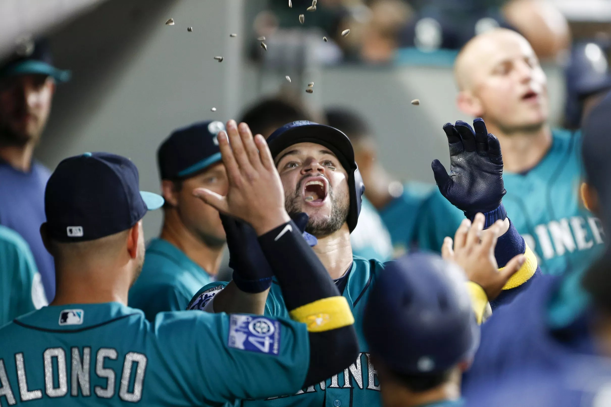 The 2017 Mariners in review Catchers