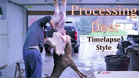Tysons Deer Processing (2024) - Chat Sports