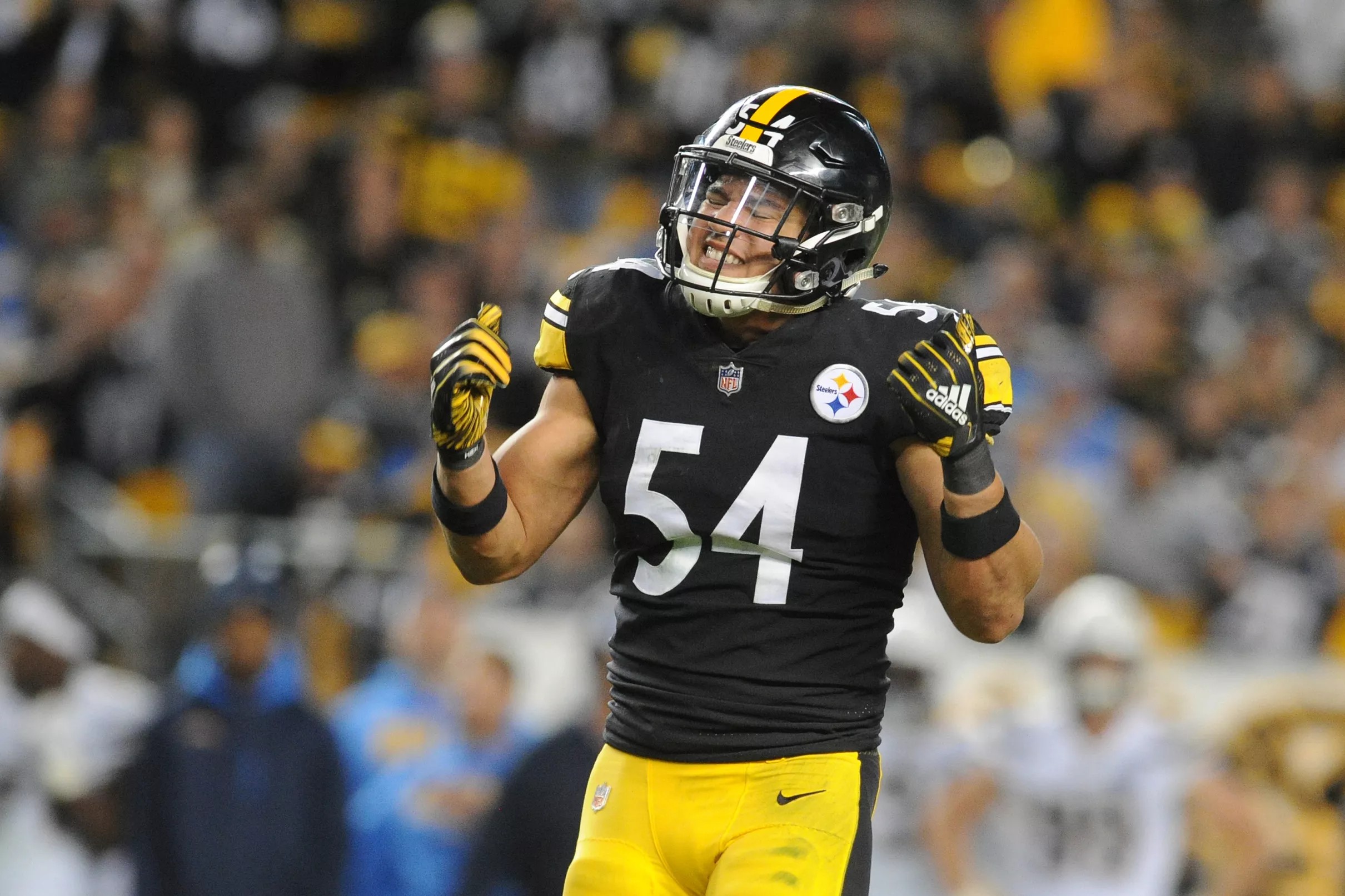 Breaking down the Pittsburgh Steelers Team Needs Part 2, Inside Linebacker