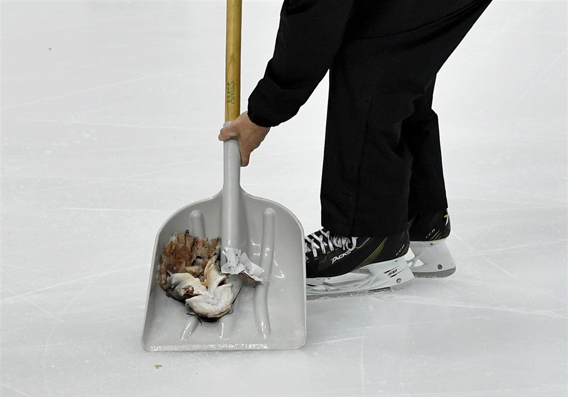 PETA weighs in on Stanley Cup catfish throwing incident