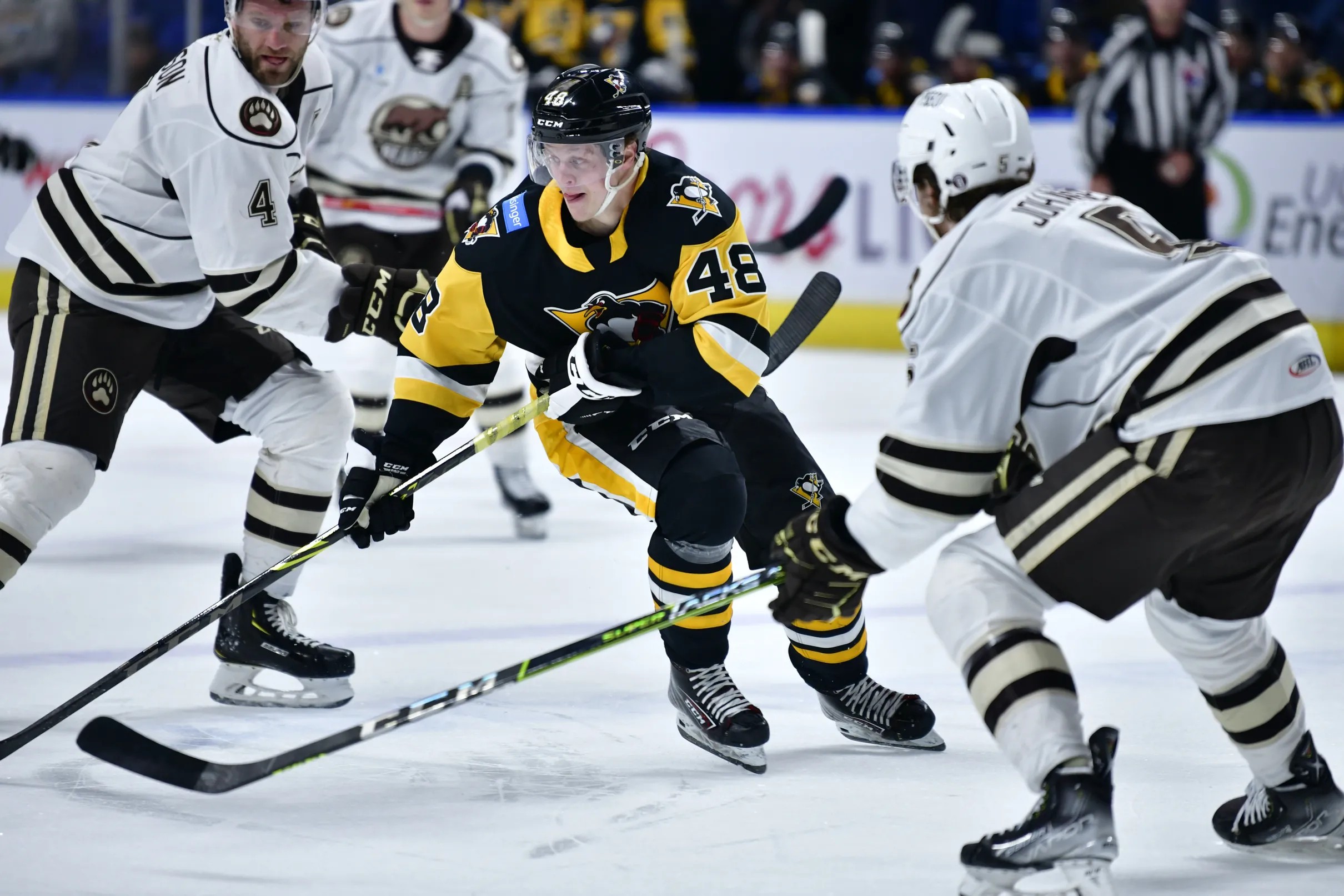 Hershey Bears Playoffs 2024 Jere Rebecca