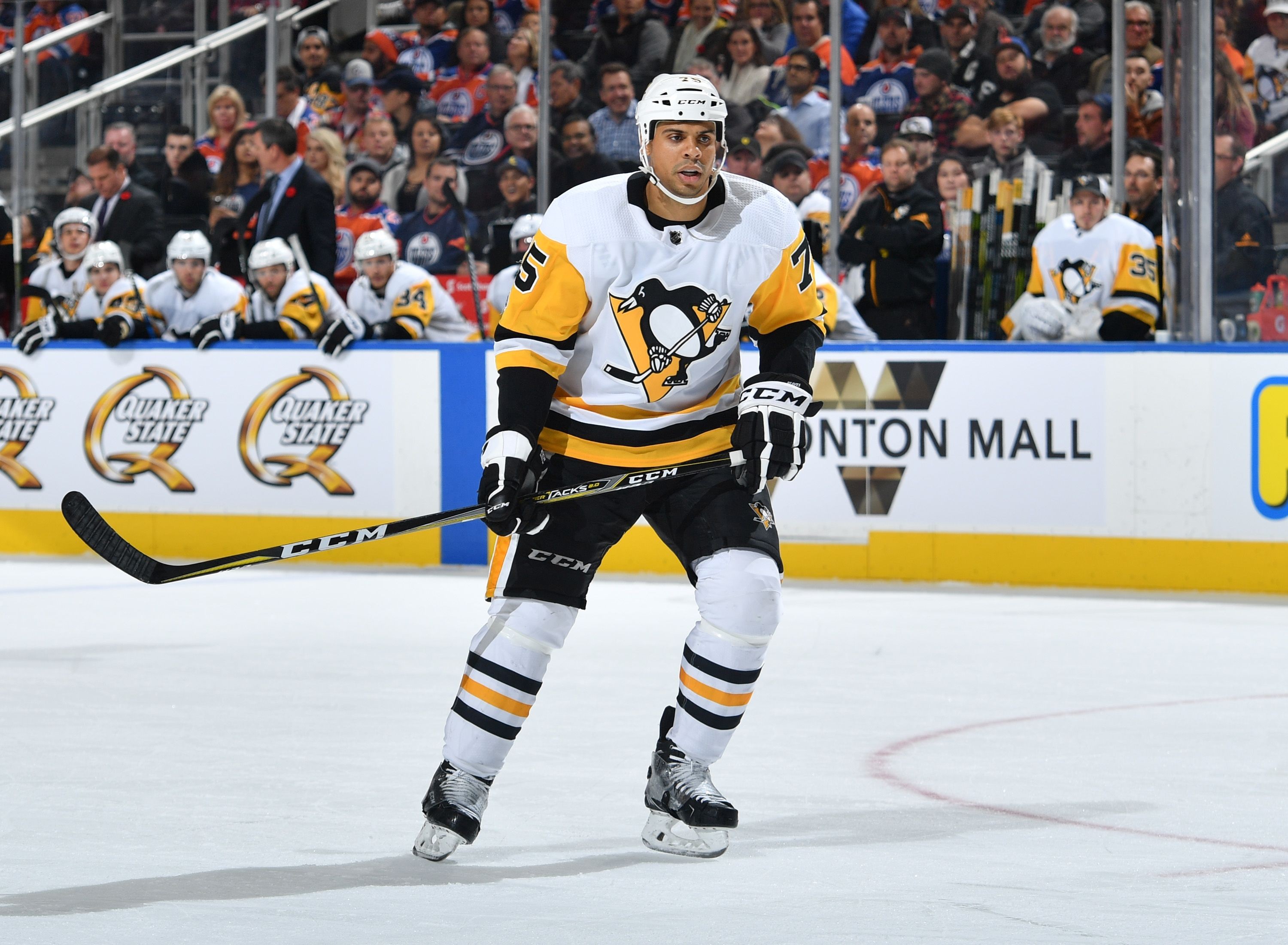 The pittsburgh penguins foundation offers programs and activities to introd...