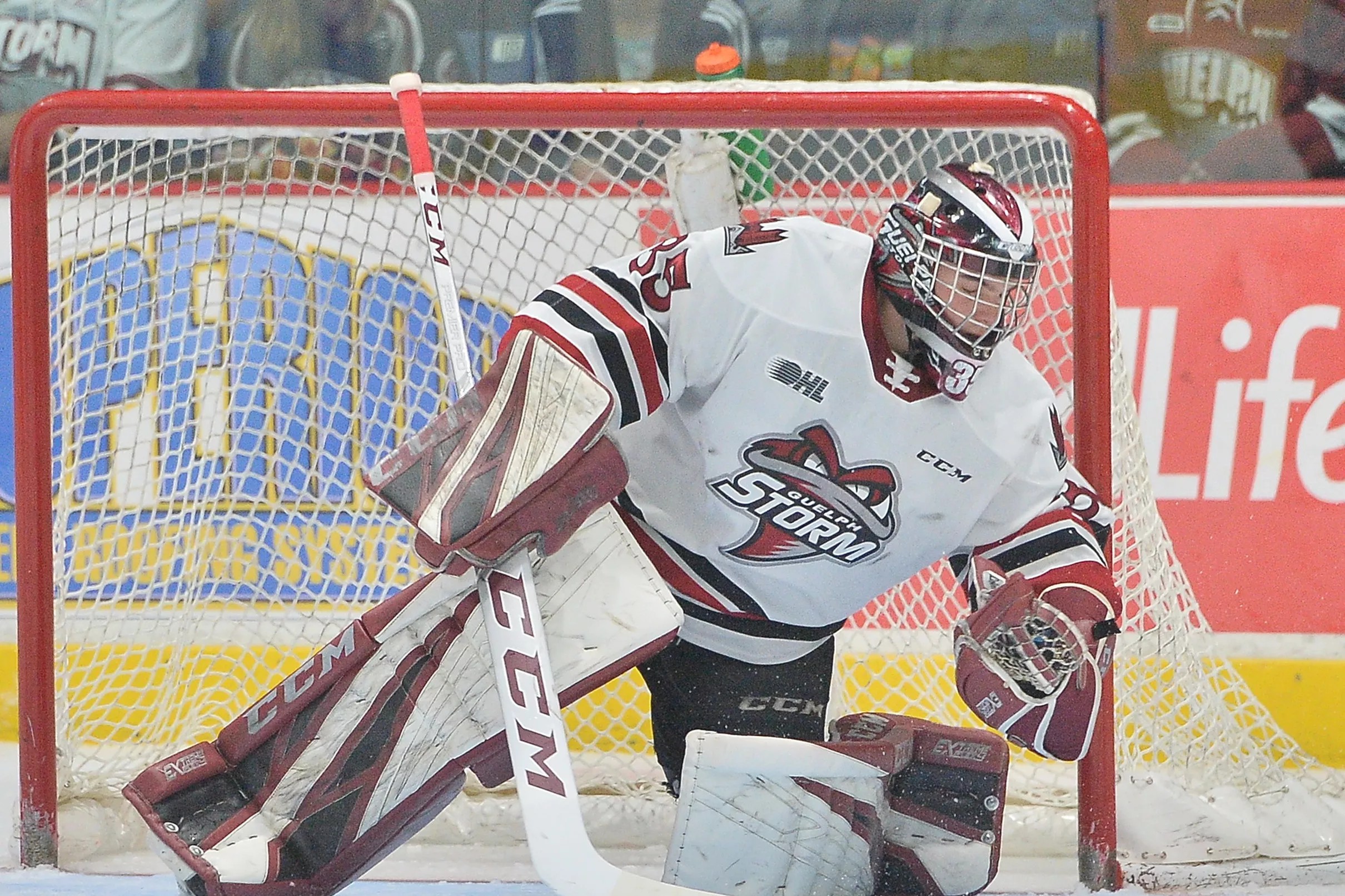 Road to the NHL Draft How one goalie has stormed up the prospect rankings