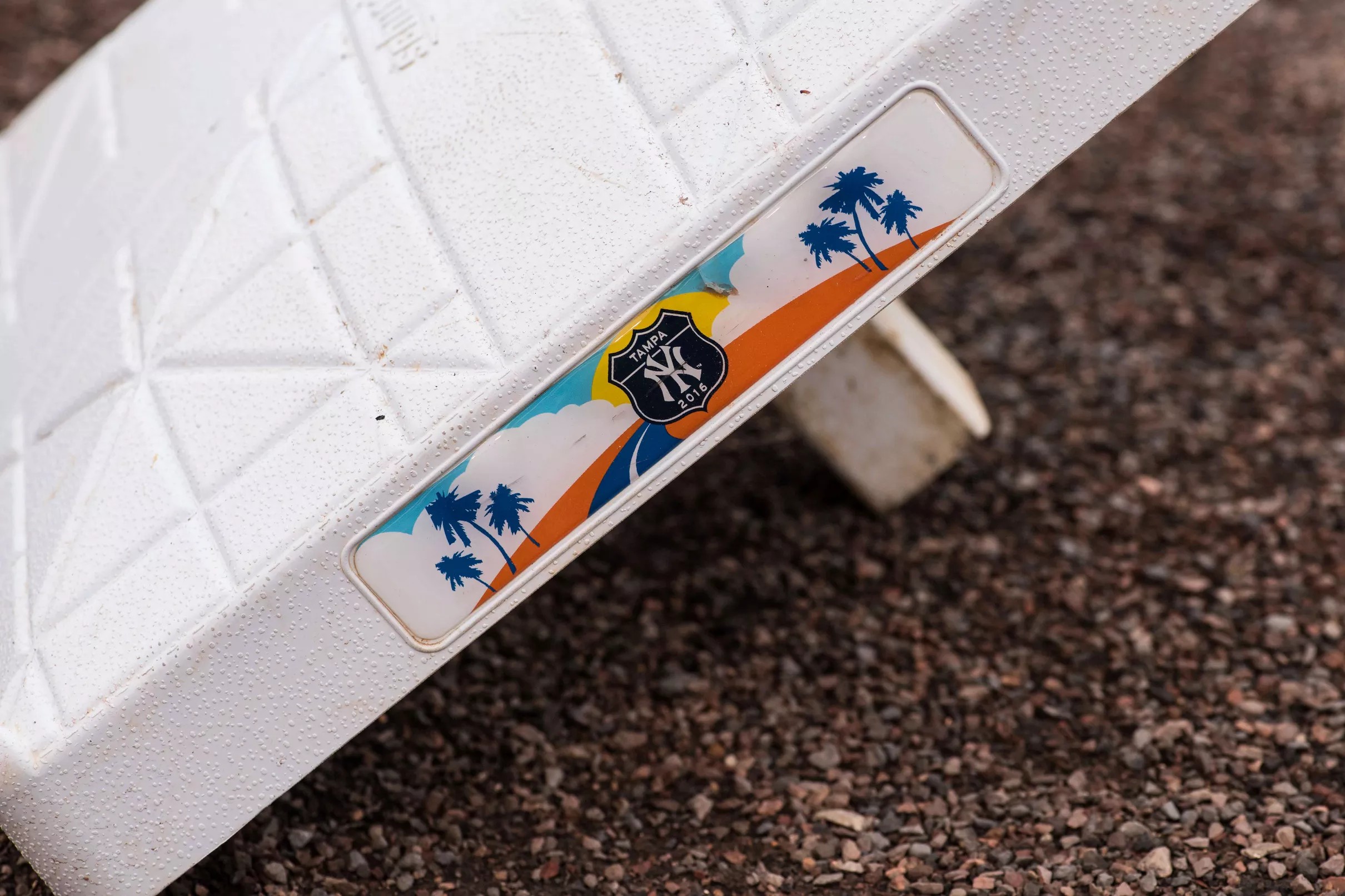 These five Yankees’ prospects could be on top 100 list’s in 2021