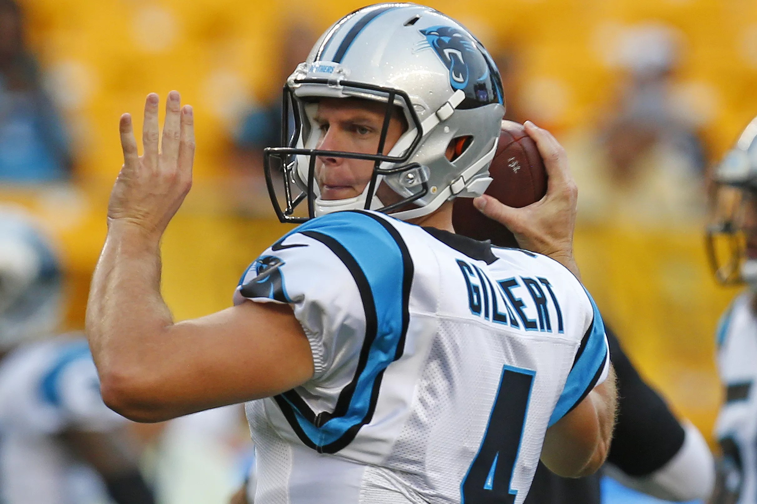 Panthers 2018 Season Review: Backup Quarterbacks