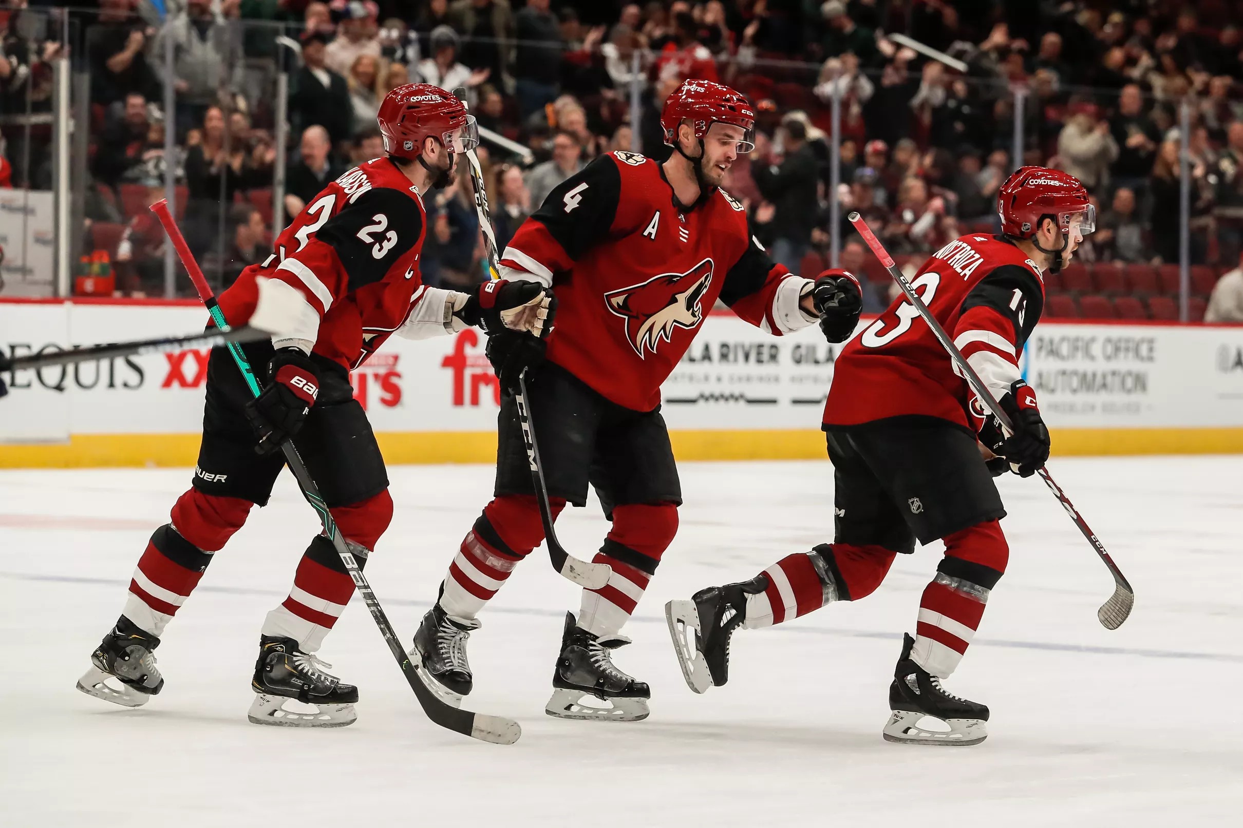 Curious season ahead for the Arizona Coyotes