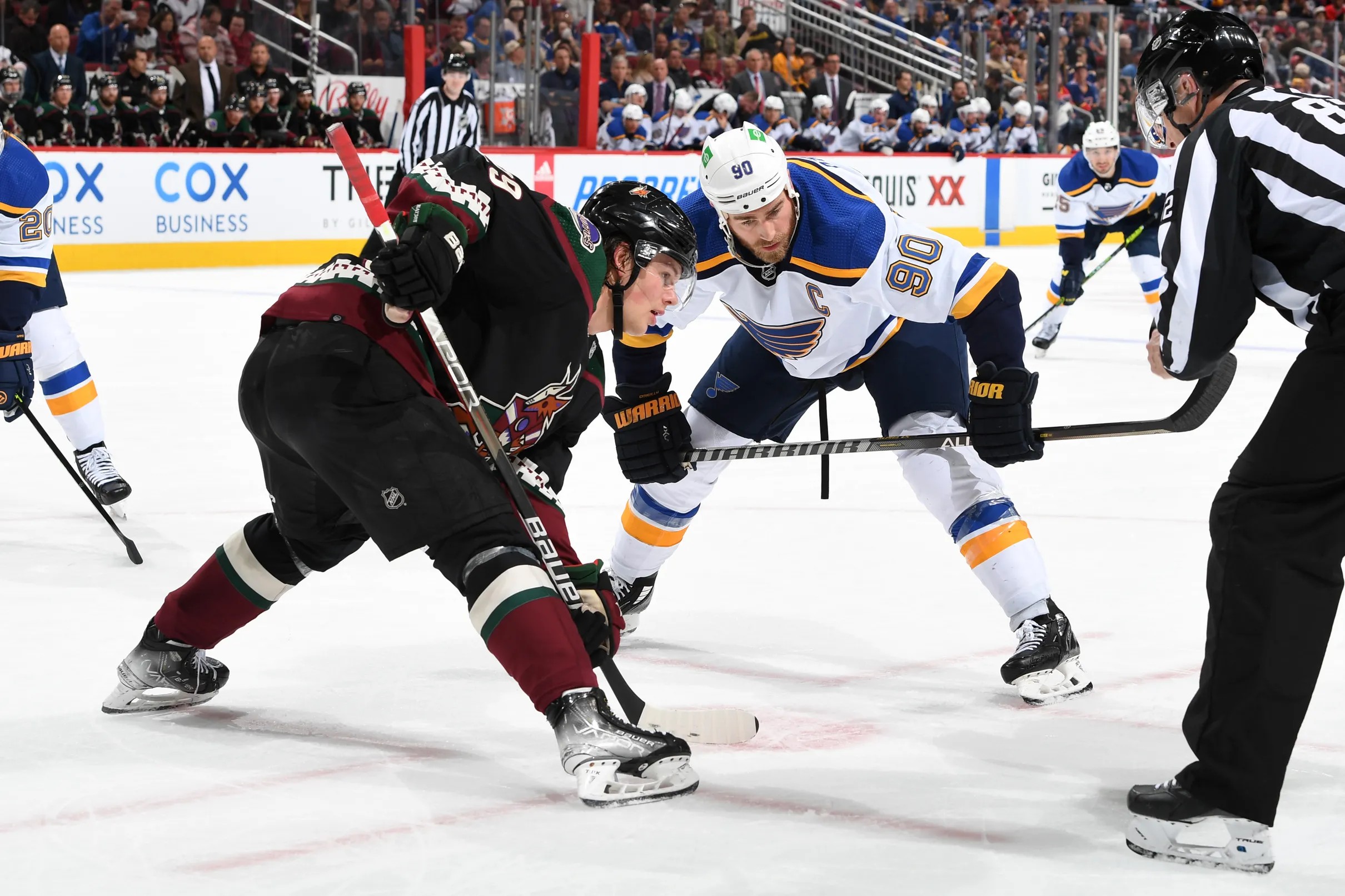 Coyotes Schedule Preseason