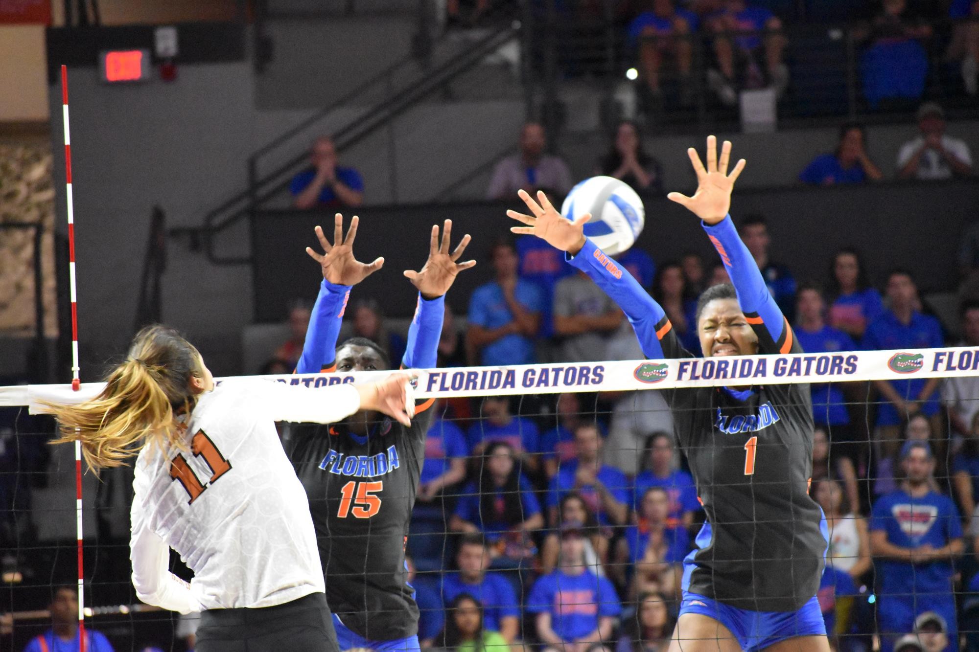 No. 1 Volleyball Falls At No. 12 Florida In Season Opener