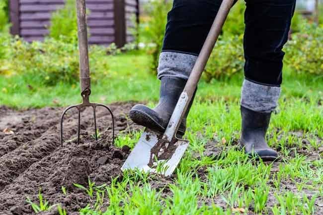 Prepare your Soil to get a Beautiful Garden