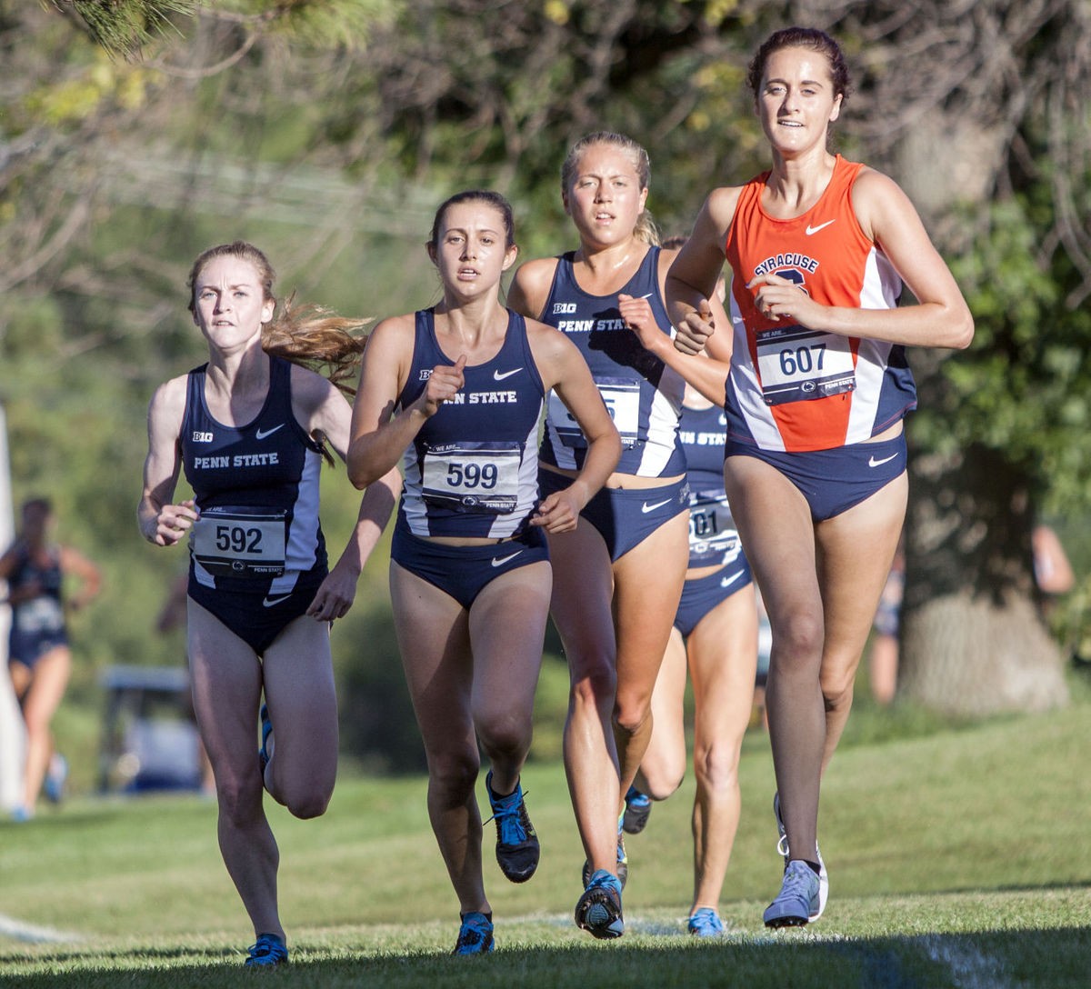Penn State cross country sweeps Lock Haven Dolan Duels