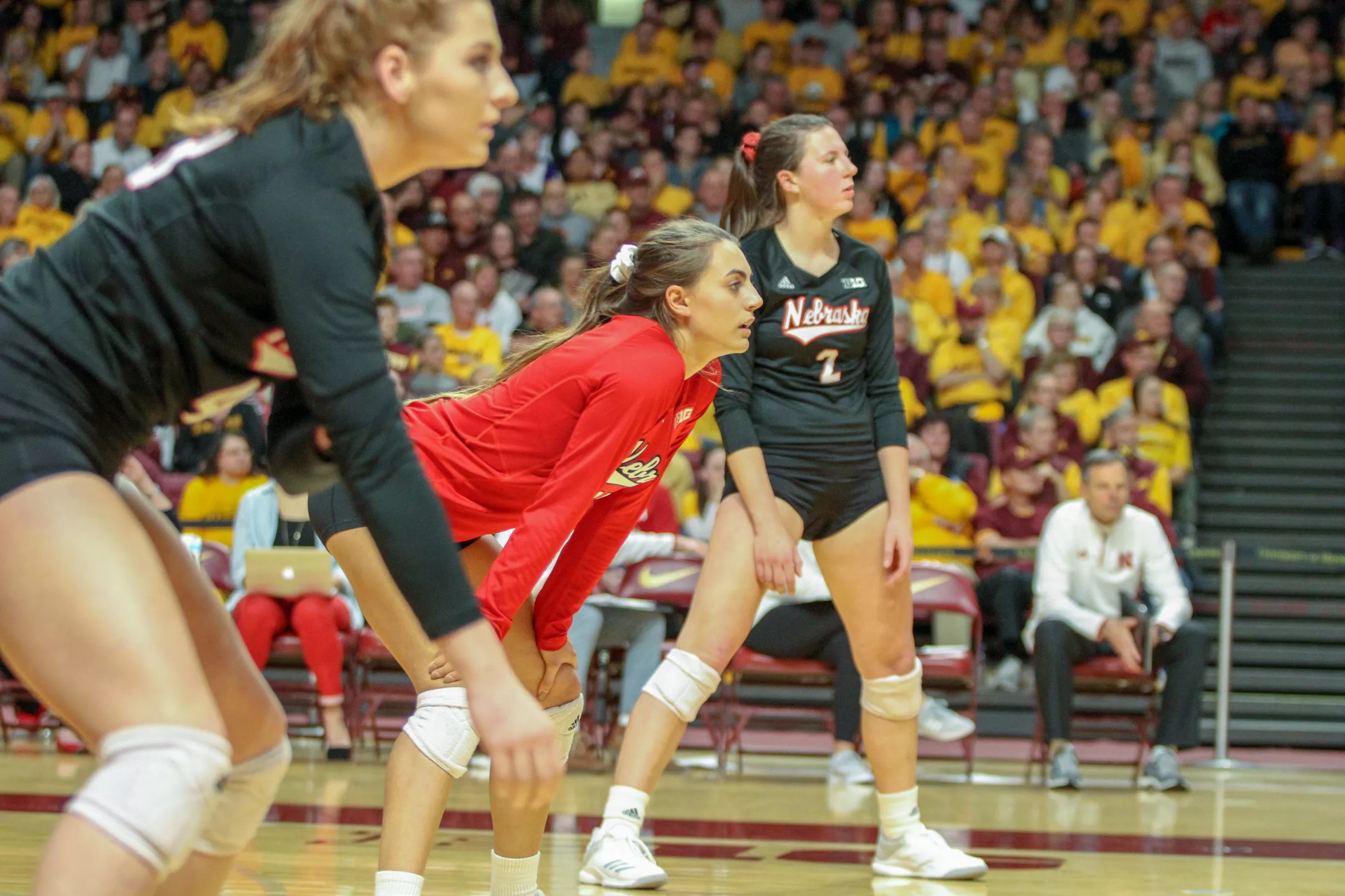 Volleyball Huskers Dominate To Close Regular Season 7797