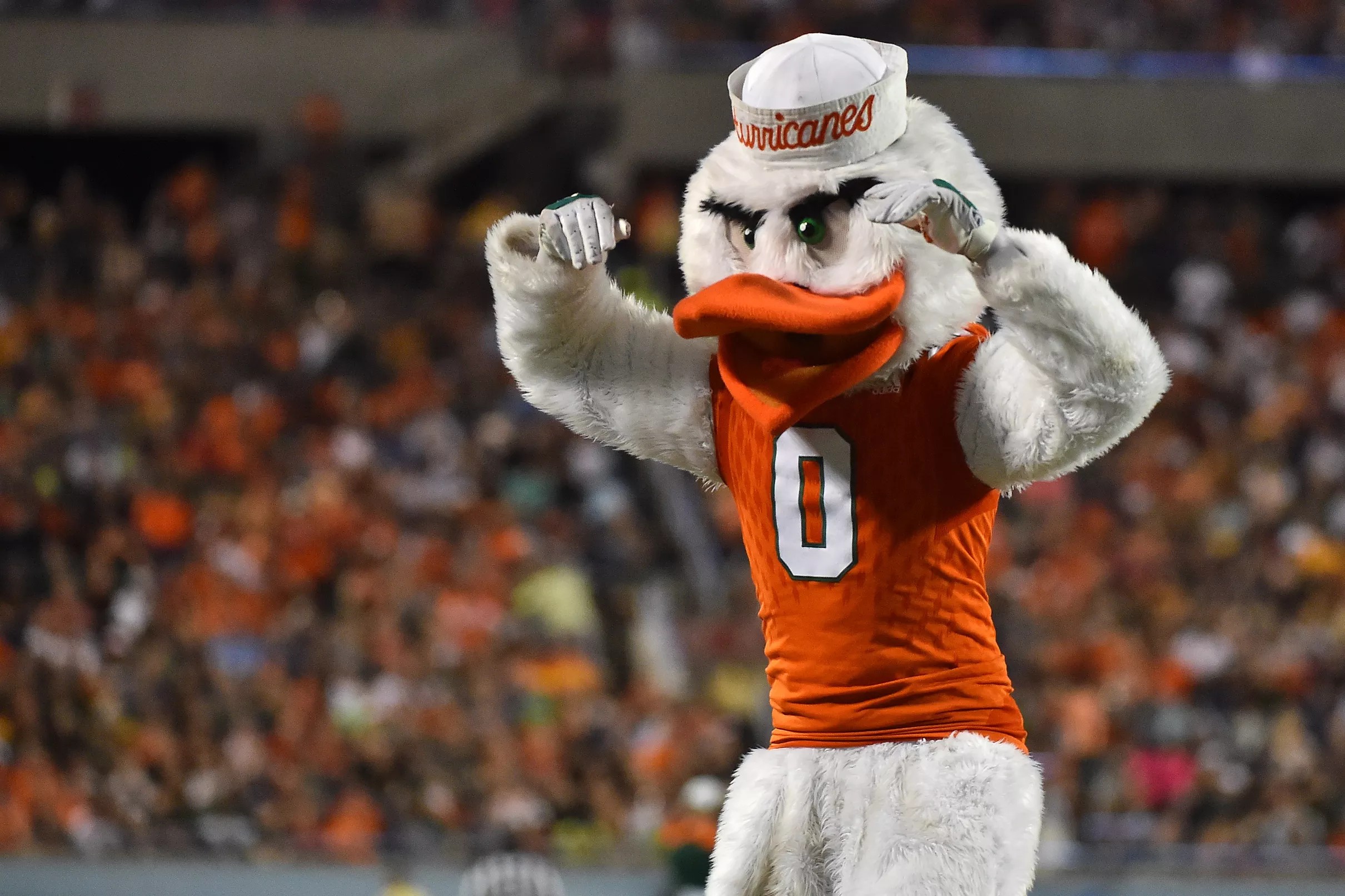 Ryan Day To Miami? 2025 Shock Could Shake College Football - 6ykzo9a