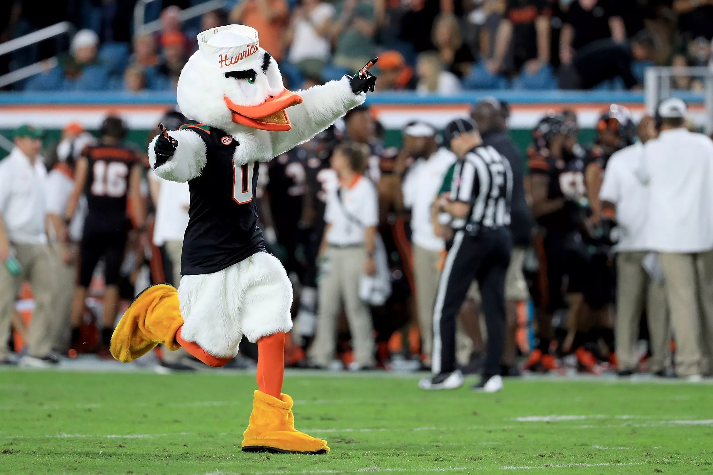 Ranking the Schedule Mascots. Miami will see some historic mascots this year.