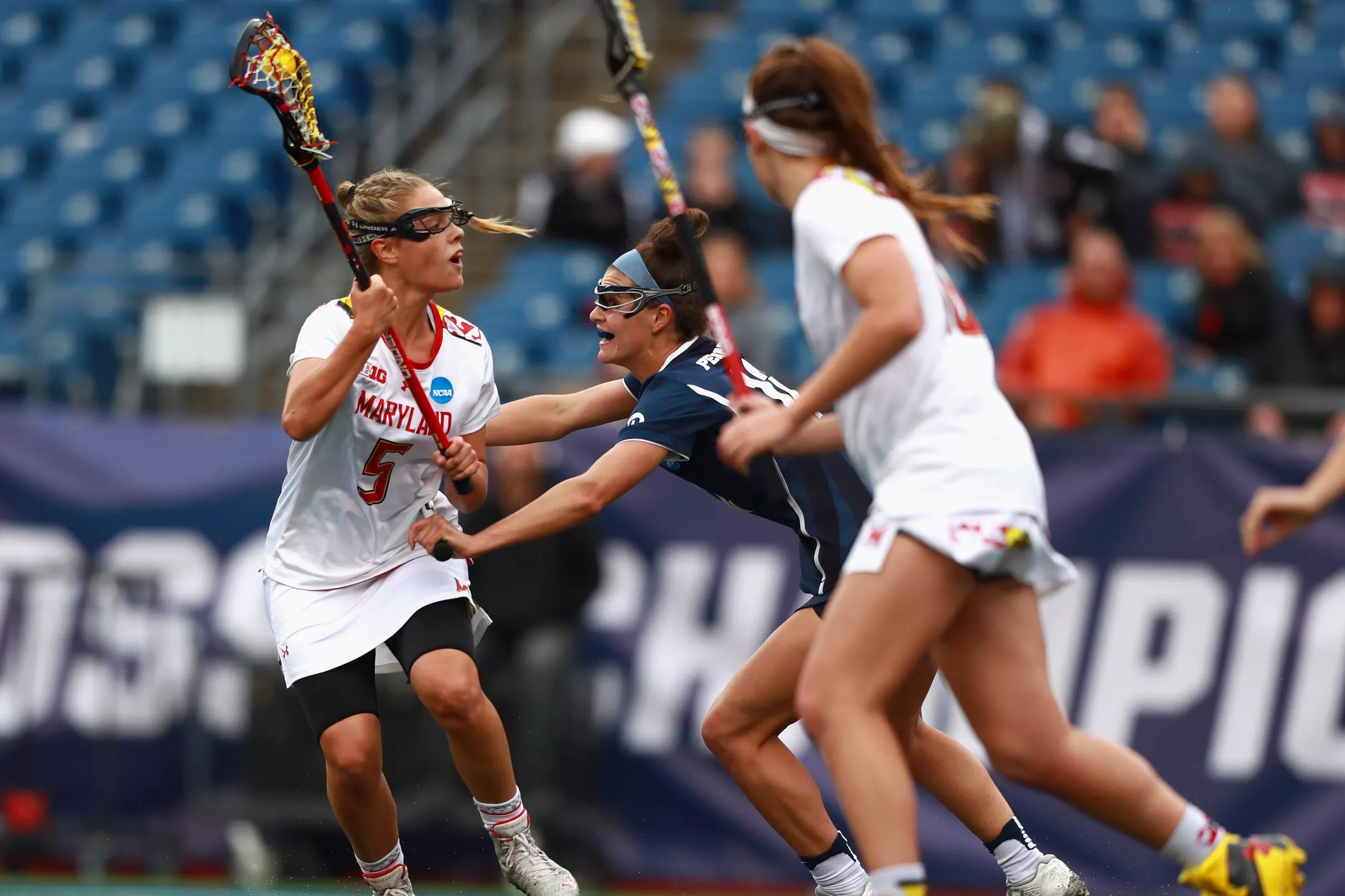 Maryland Lacrosse Q&A With Testudo Times