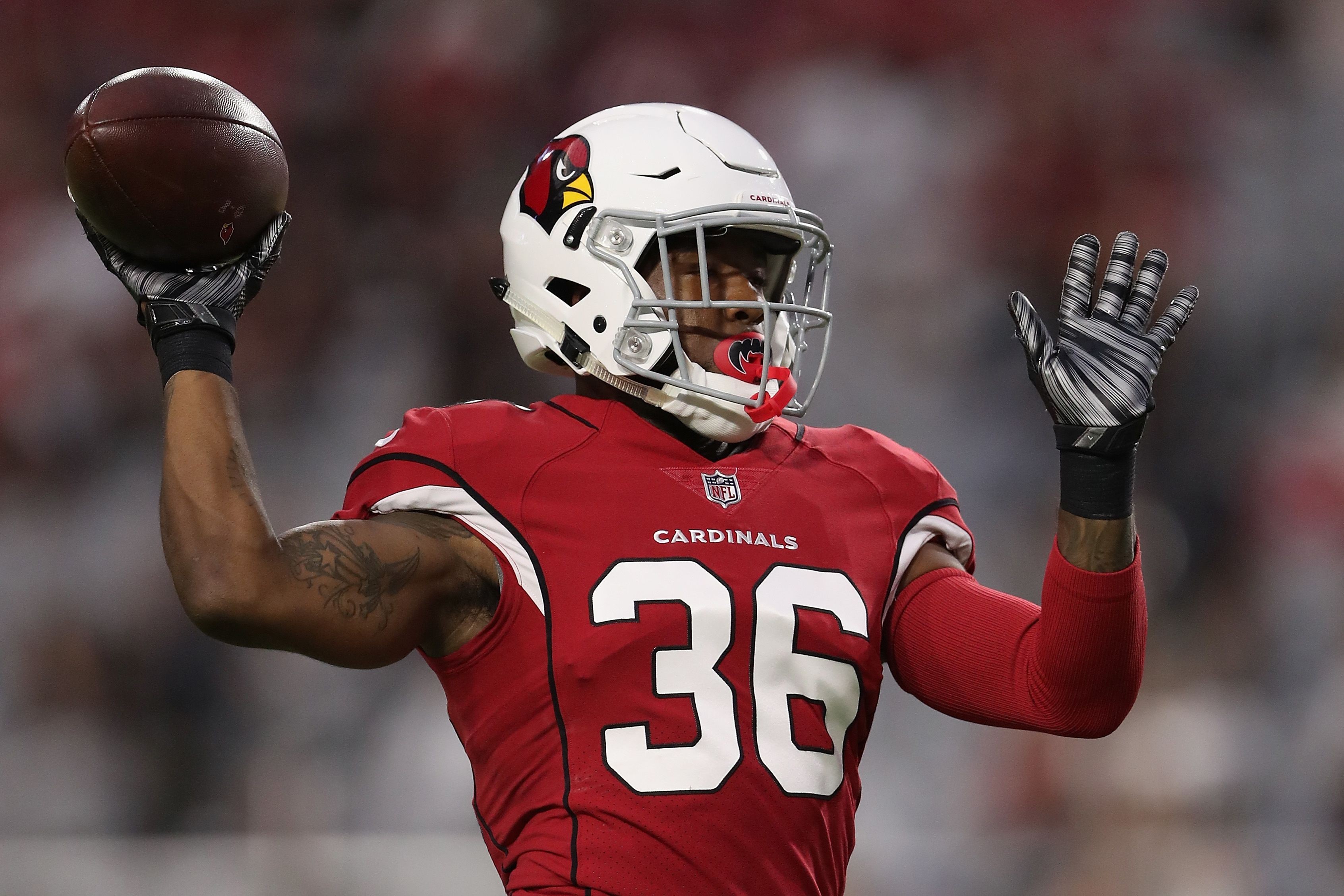 Arizona Cardinals Special Teams Represented In Pro Bowls