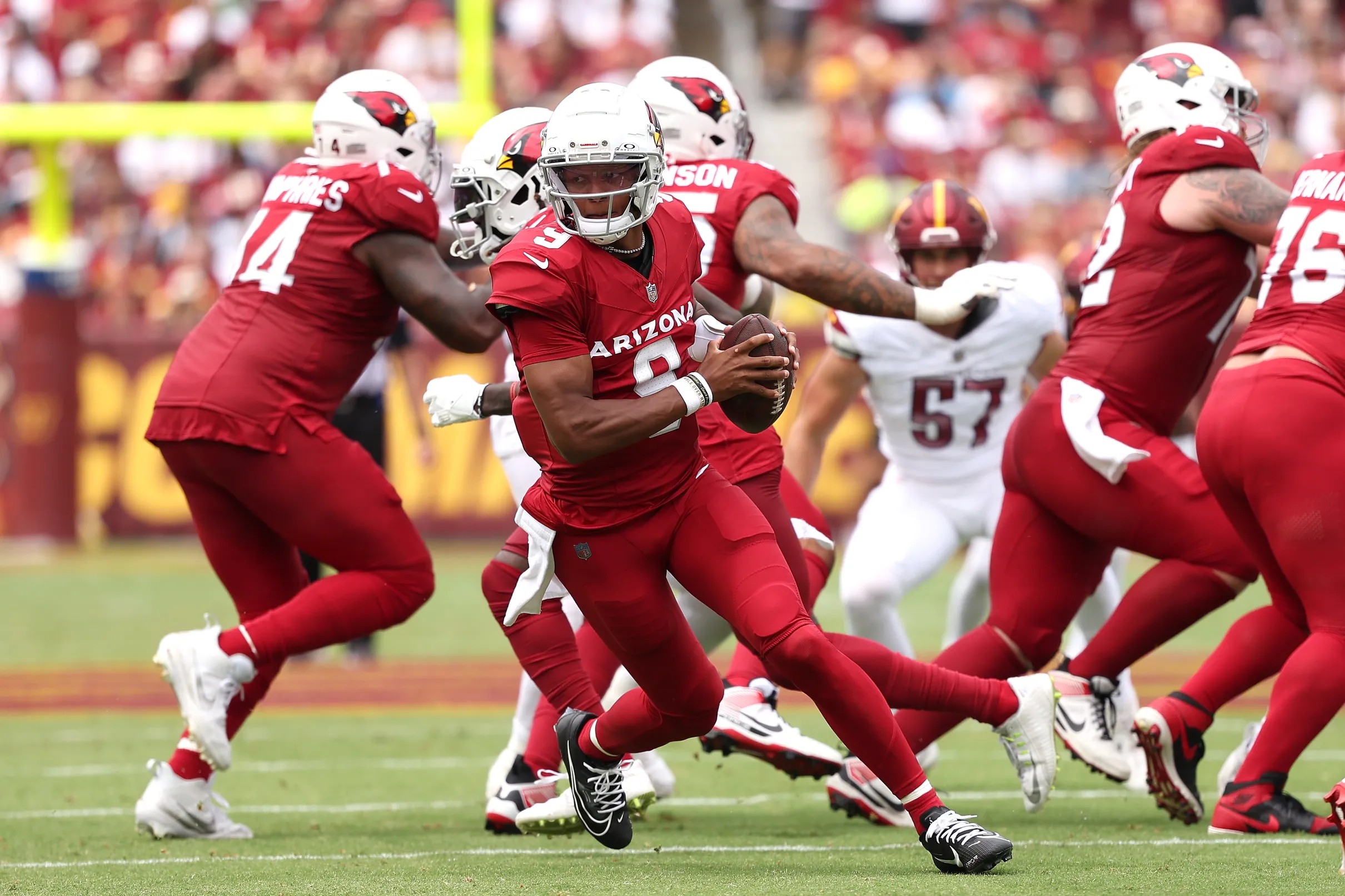 Cardinals-49ers second half open thread - Revenge of the Birds