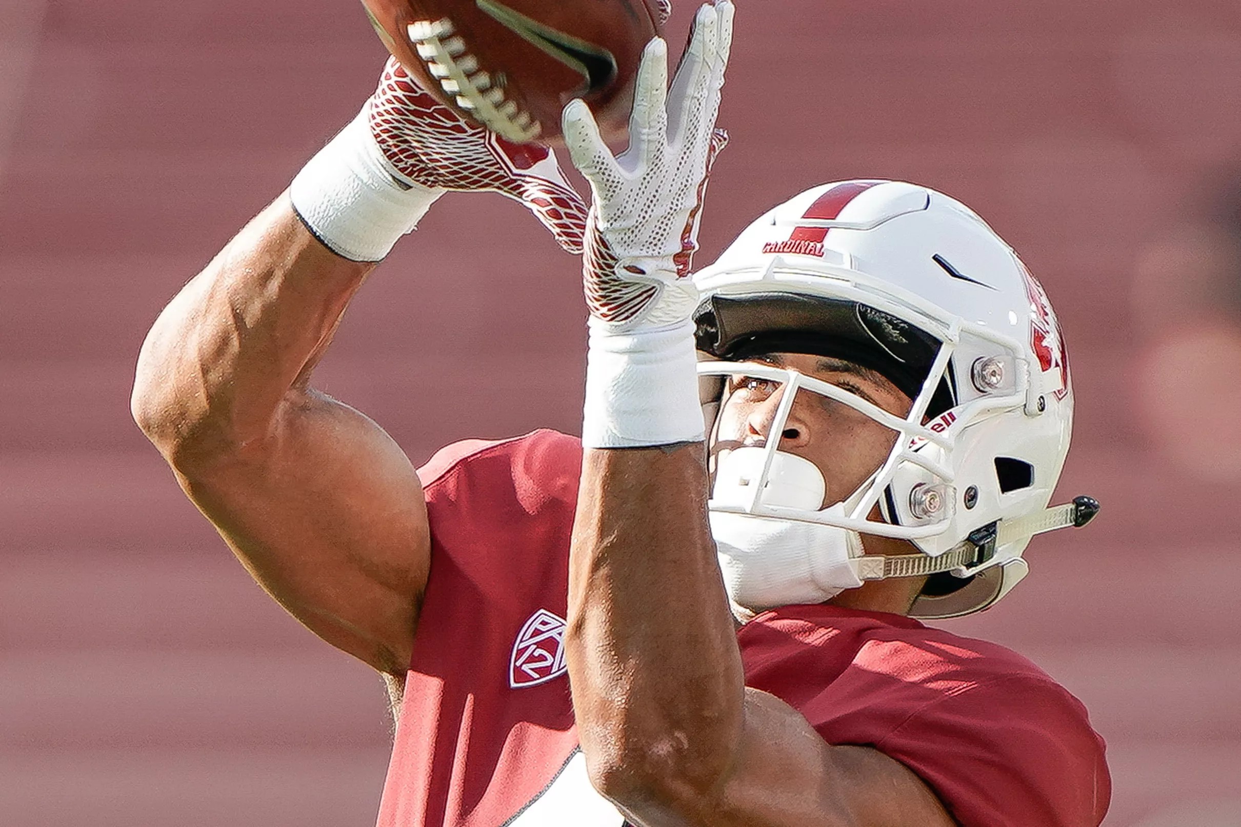 Michael Wilson Scores Stanford’s First TD of the Season!