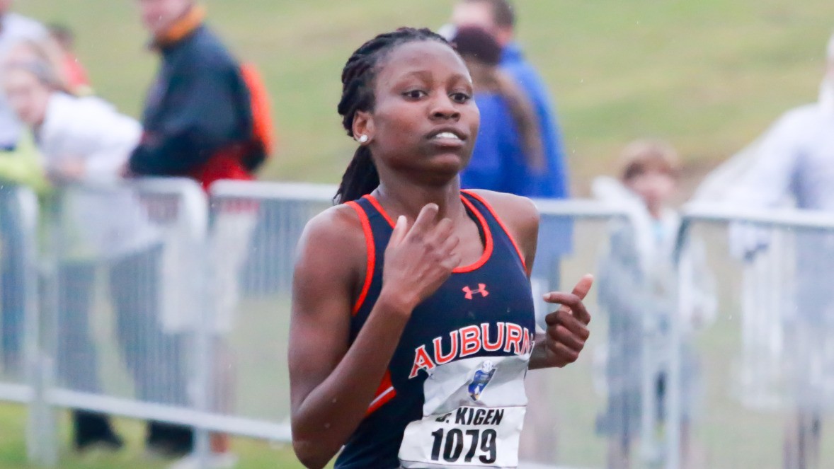 Auburn cross country heads to Crimson Classic