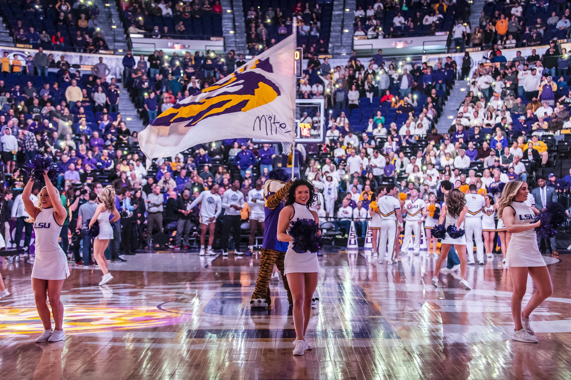 Season Tickets On Sale For LSU Basketball Season Tickets On Sale For LSU Basketball