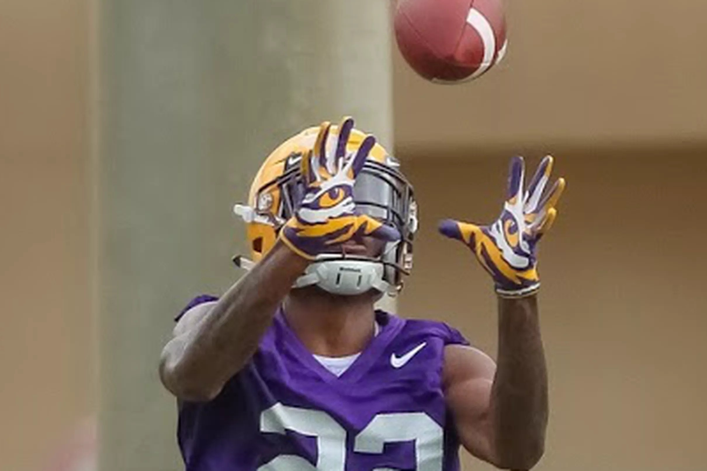 Fulton’s Suspension Upheld