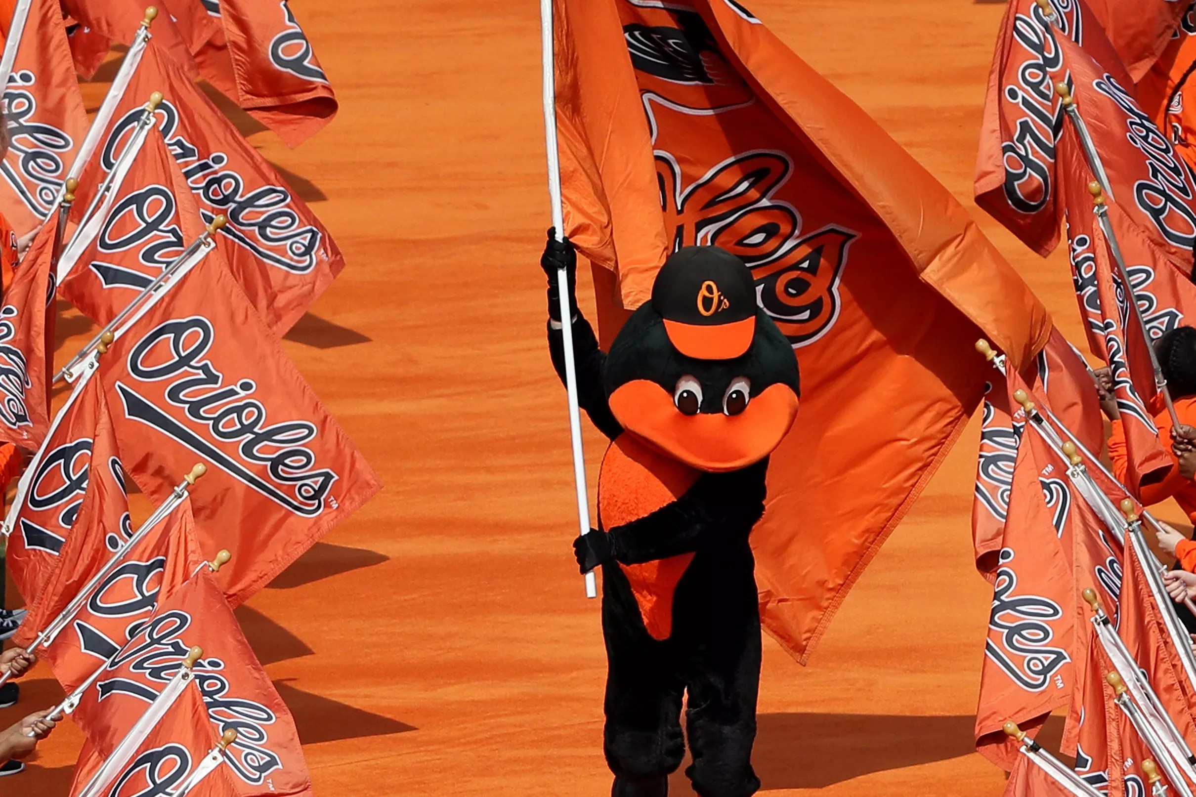 Orioles prospects season preview Delmarva Shorebirds