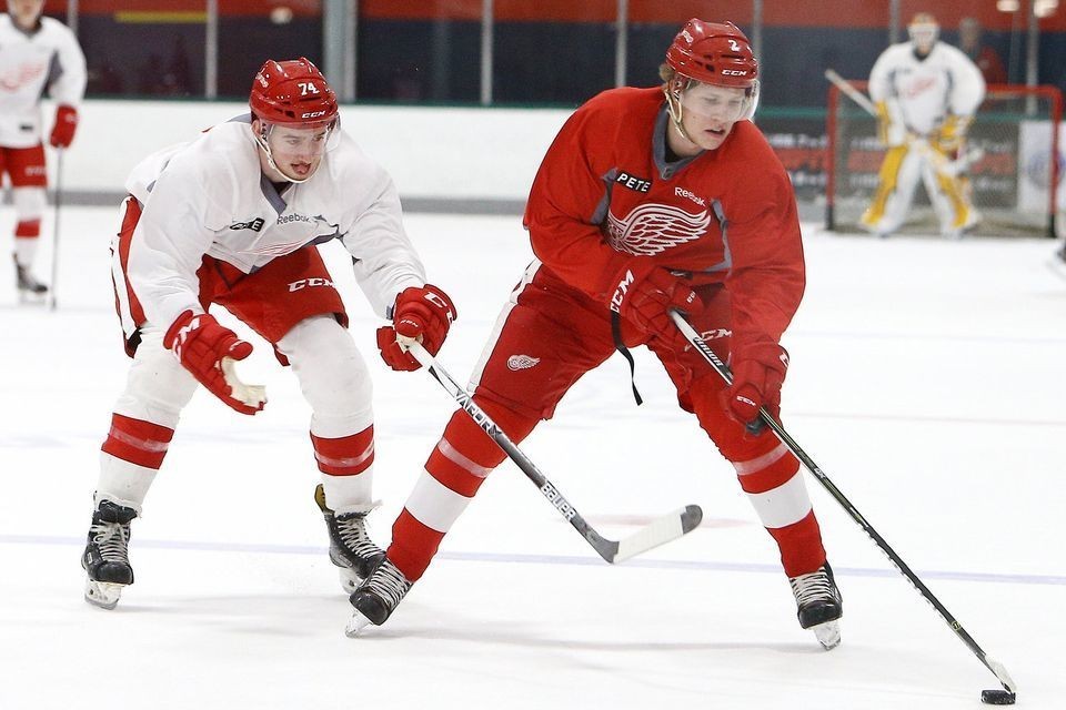 Detroit Red Wings reveal development camp details