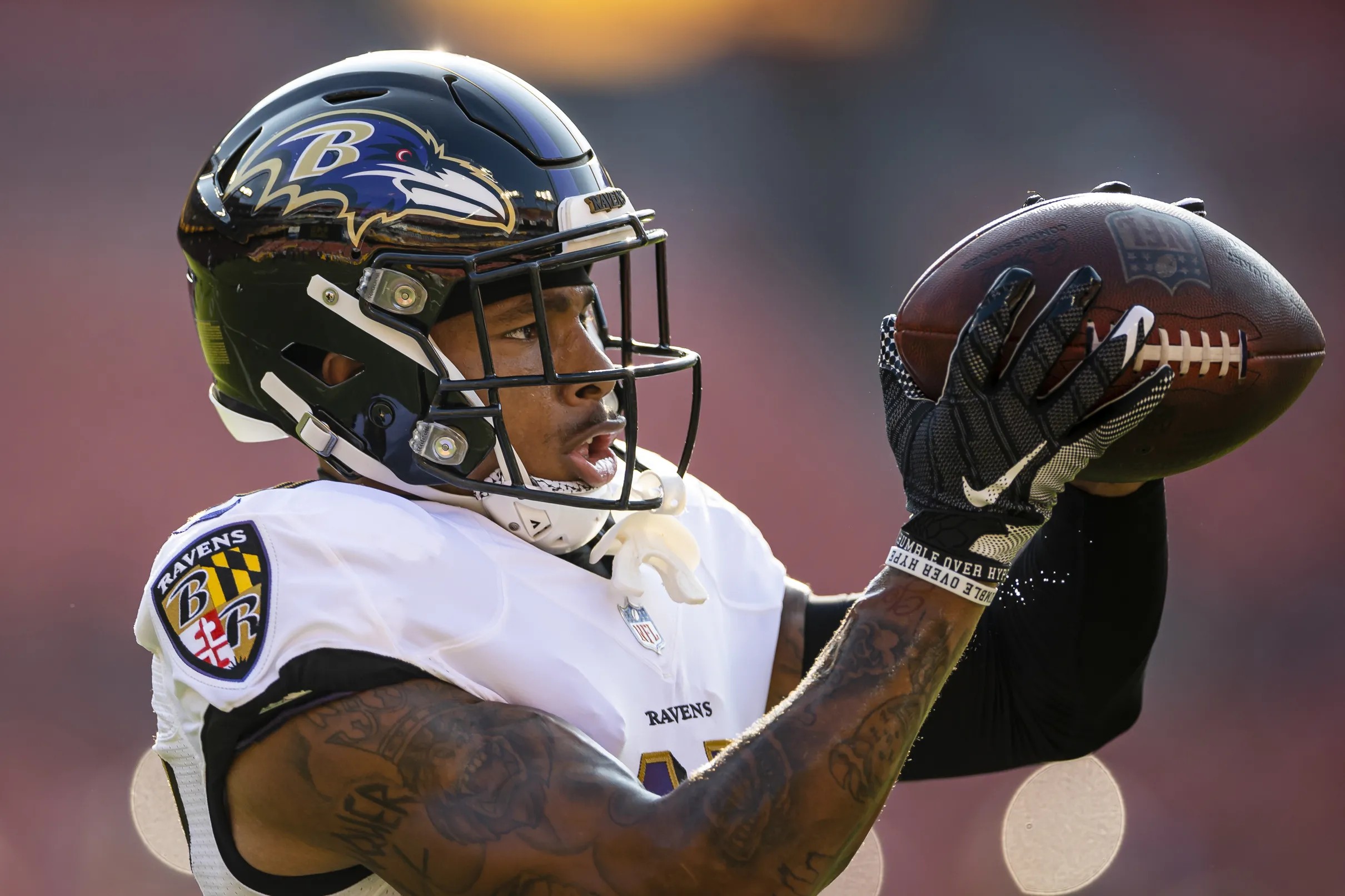 Ravens lost all guards on original May roster