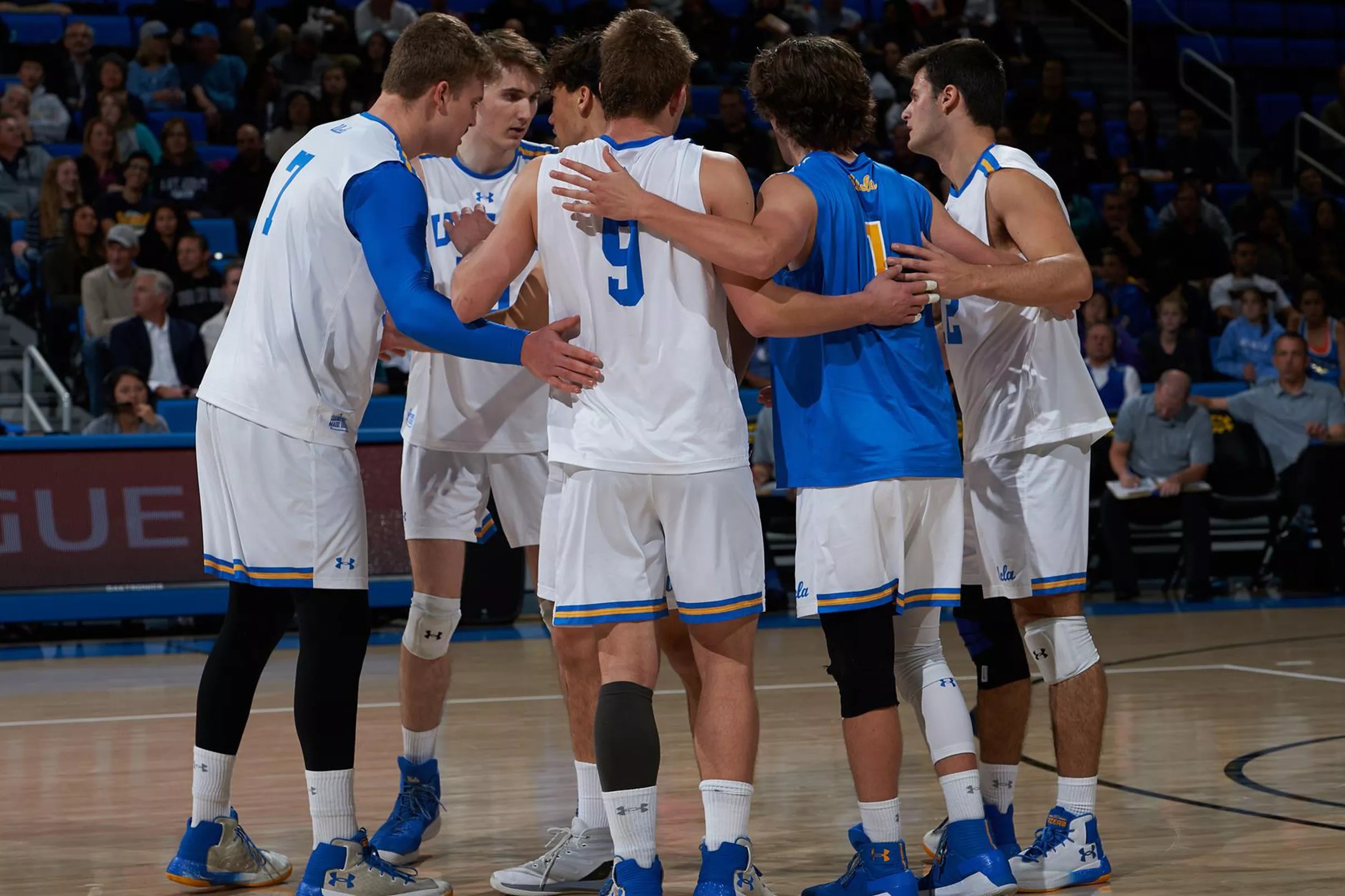 #5 Ucla Men’s Volleyball Looks To Stop The Bleeding Vs. #7 Pepperdine