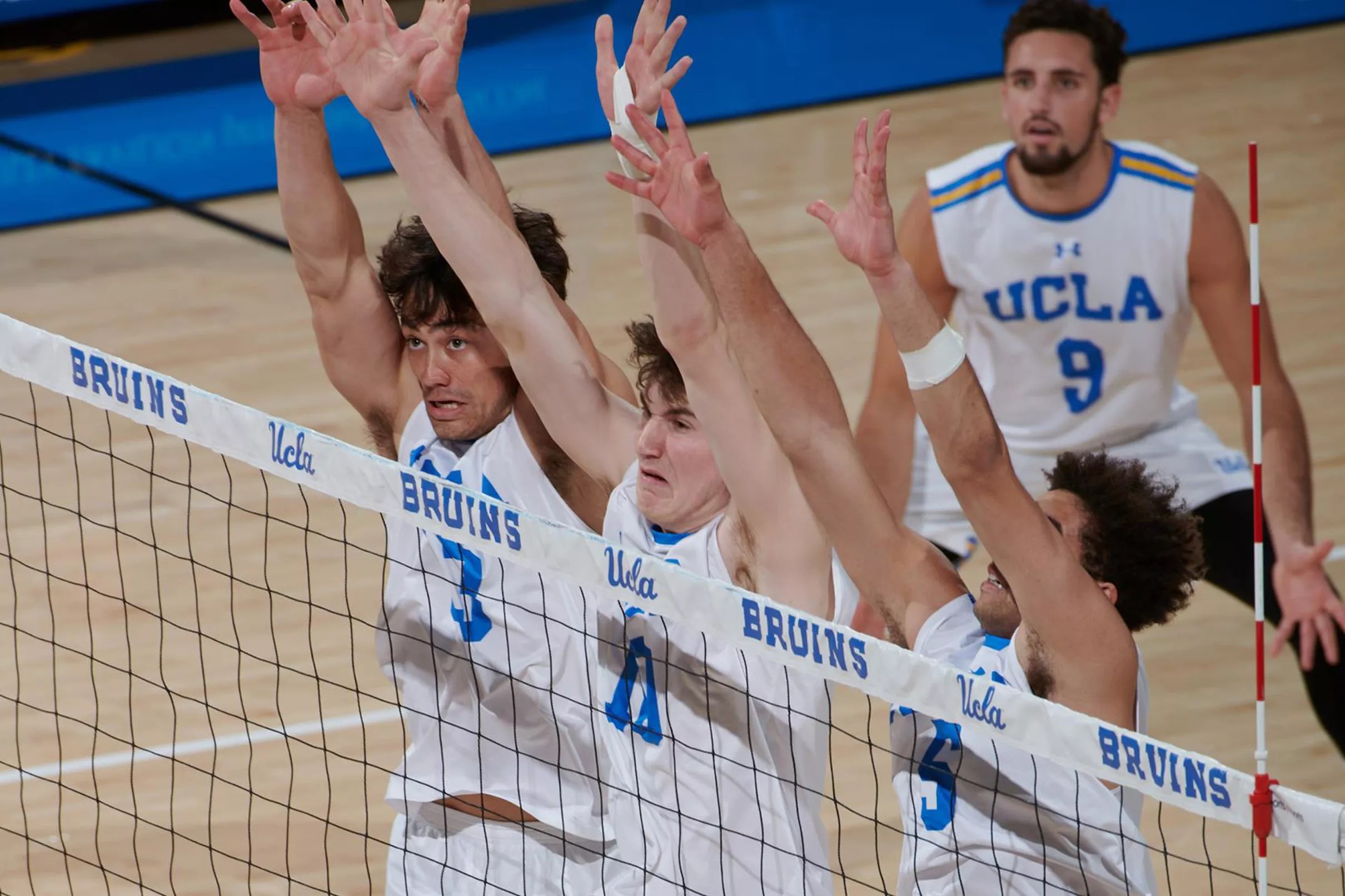 UCLA Men’s Volleyball Looks for a Needed Road Win Tonight vs. Pepperdine