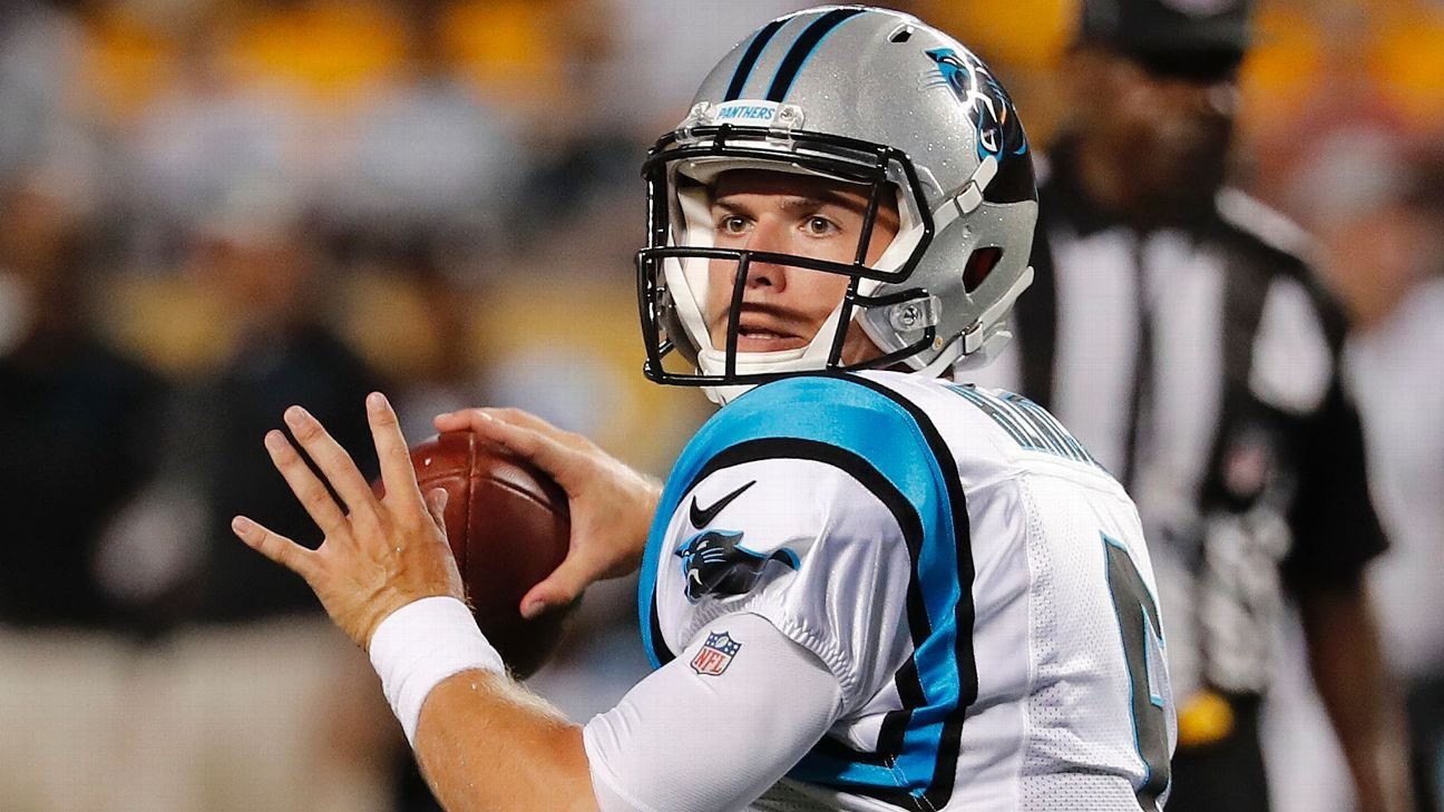 Carolina Panthers' 2019 free-agent signings: Taylor Heinicke returns as