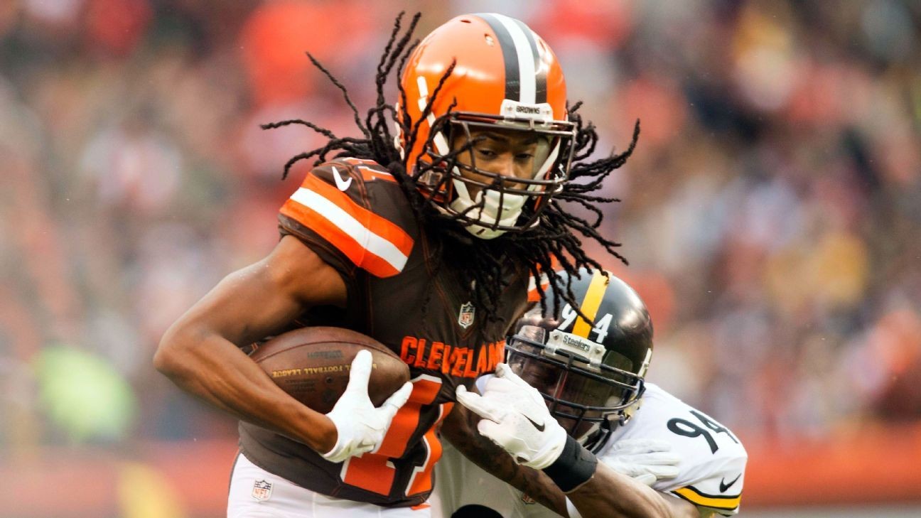 Browns 2016 Stats