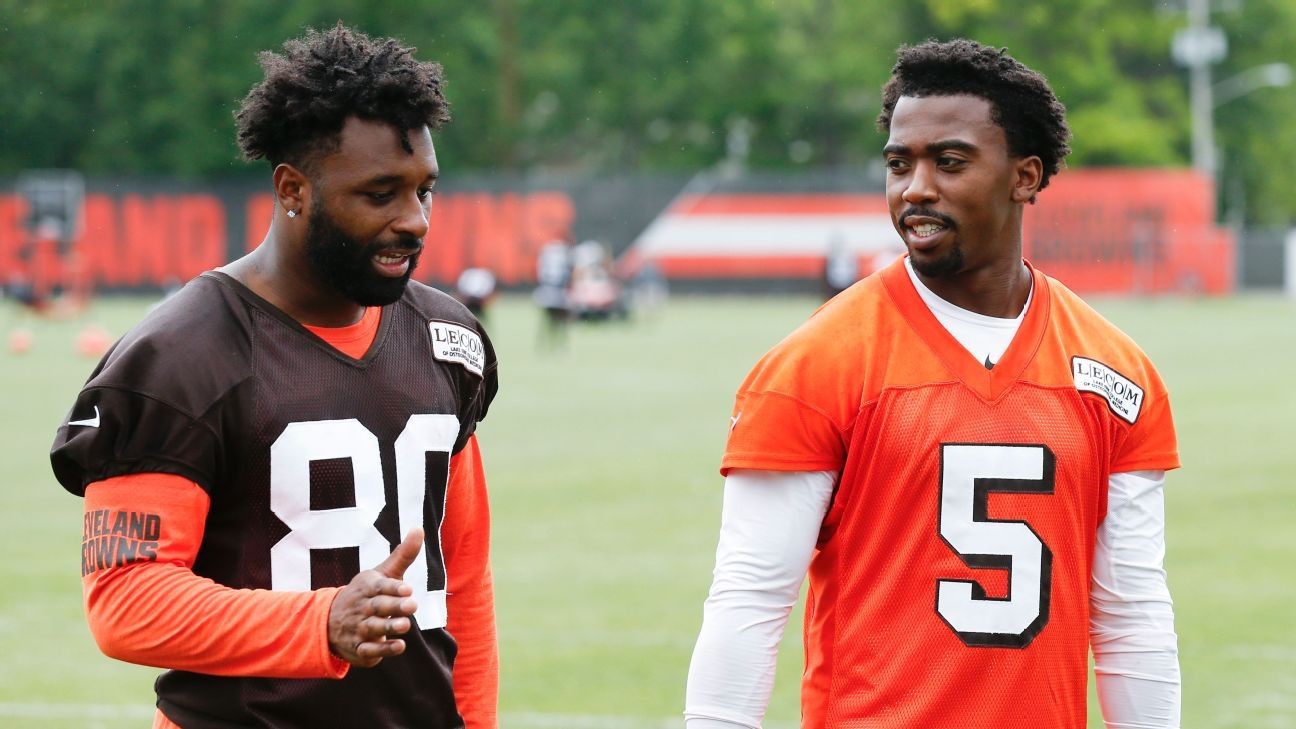 Browns Turn To Newcomers To Change Culture Record In 2018