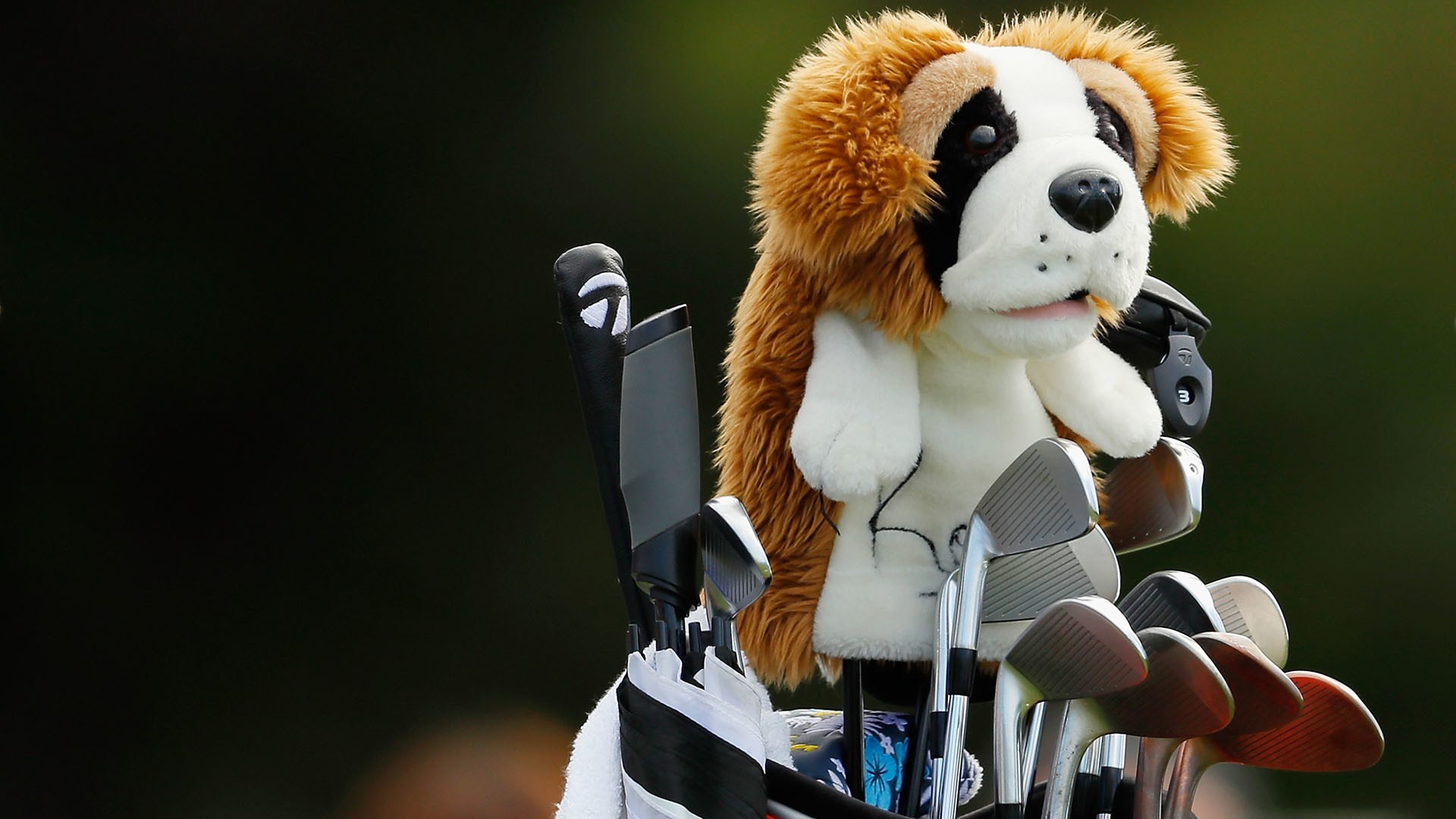 The Players purse payout Rory's big payday at TPC Sawgrass