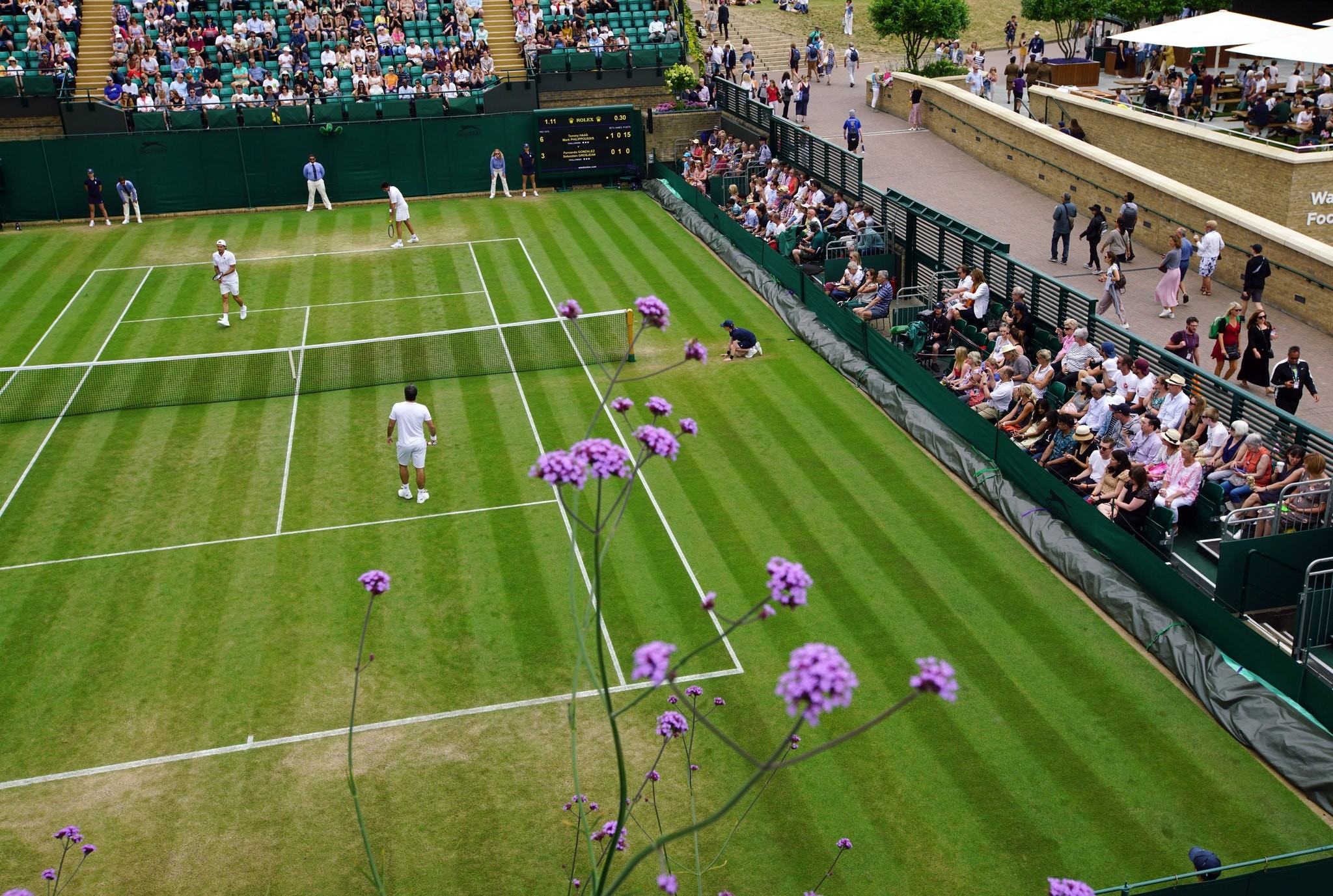 wimbledon two tone